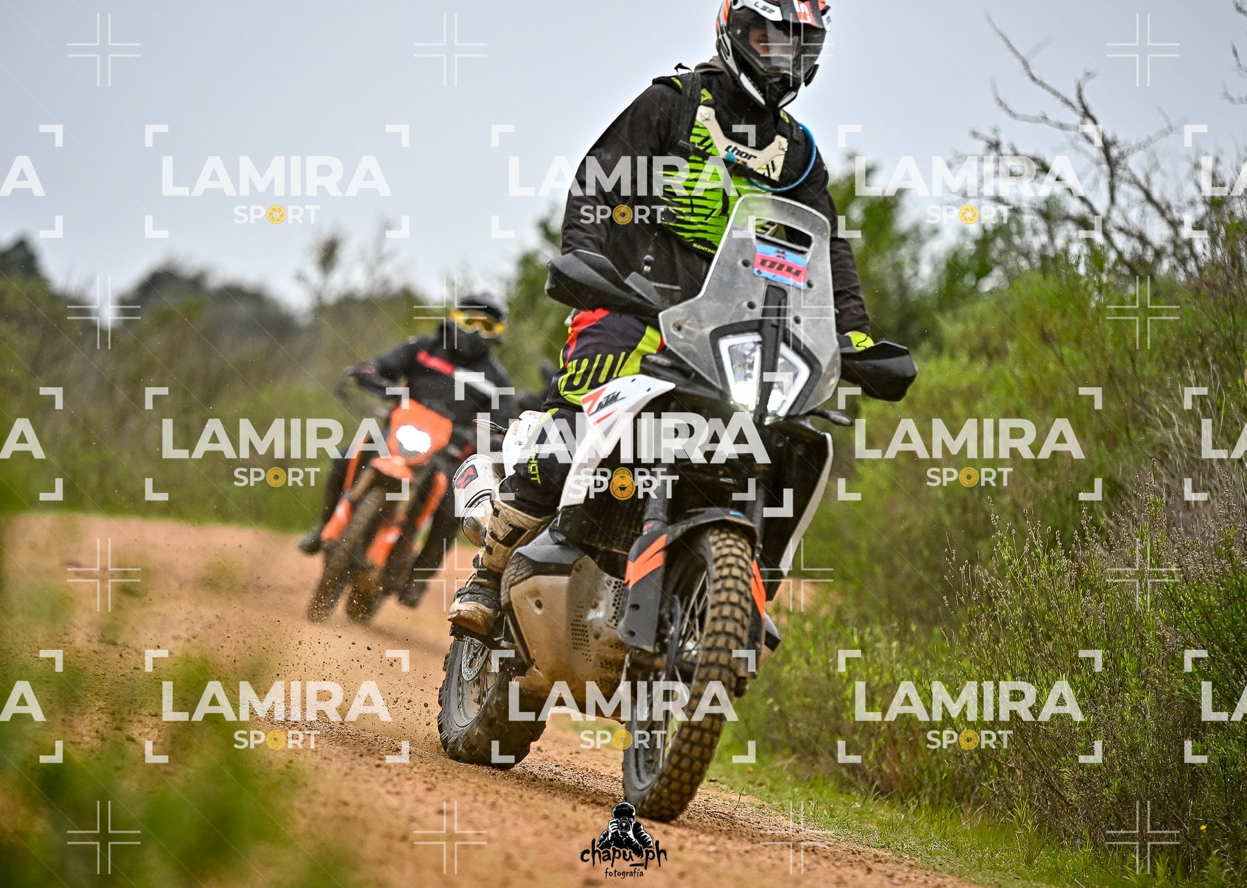 big trail — BCD6816