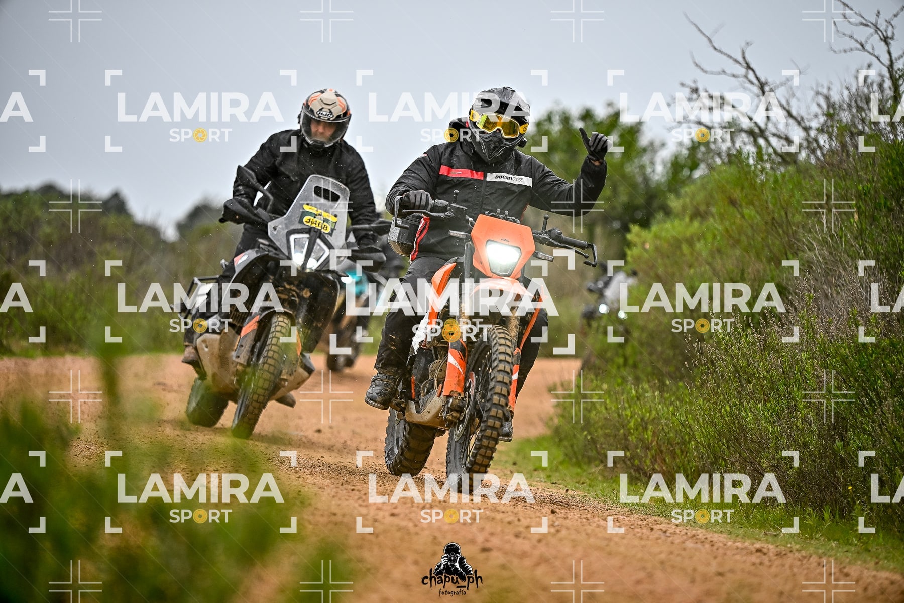 big trail — BCD6823