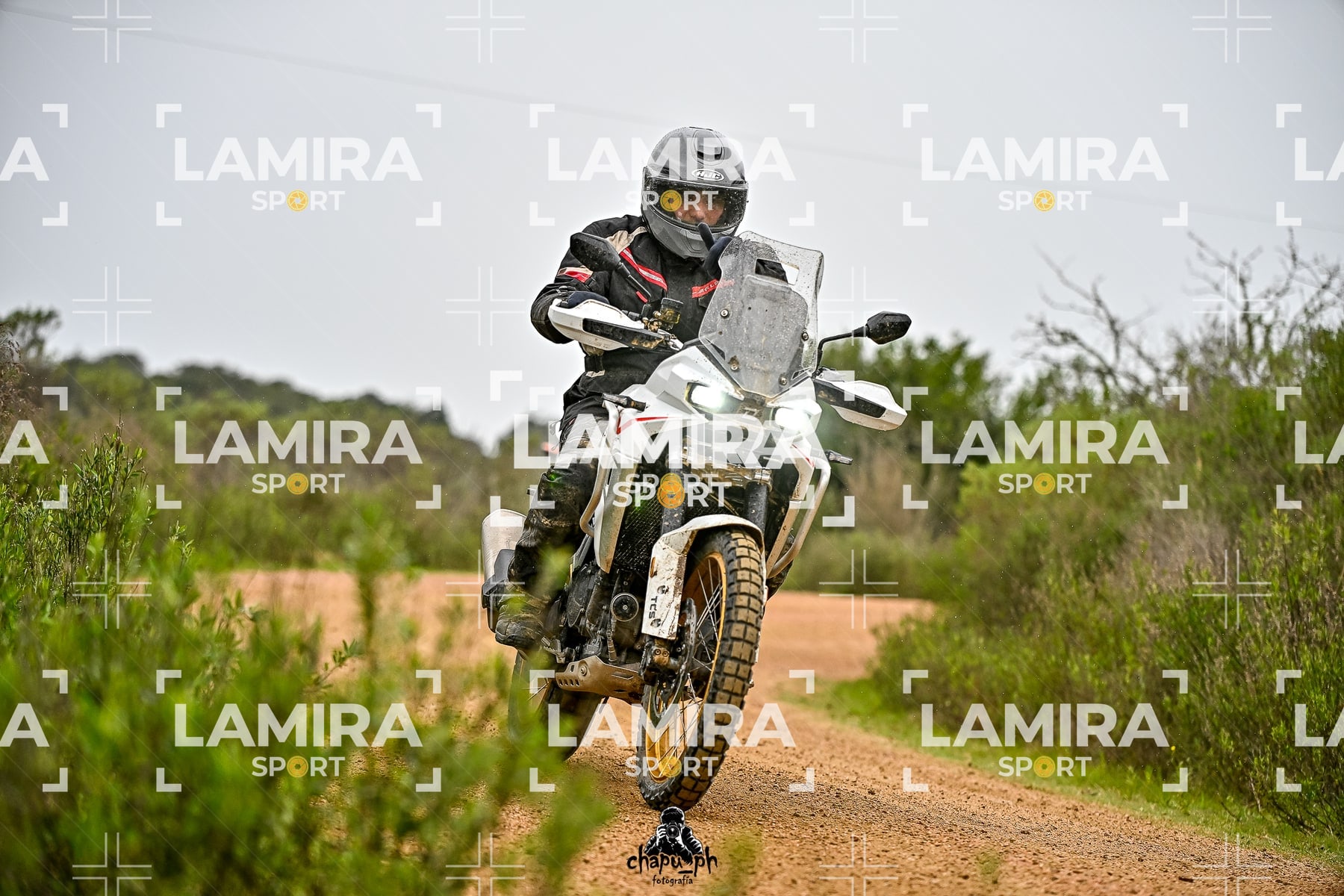 big trail — BCD6976