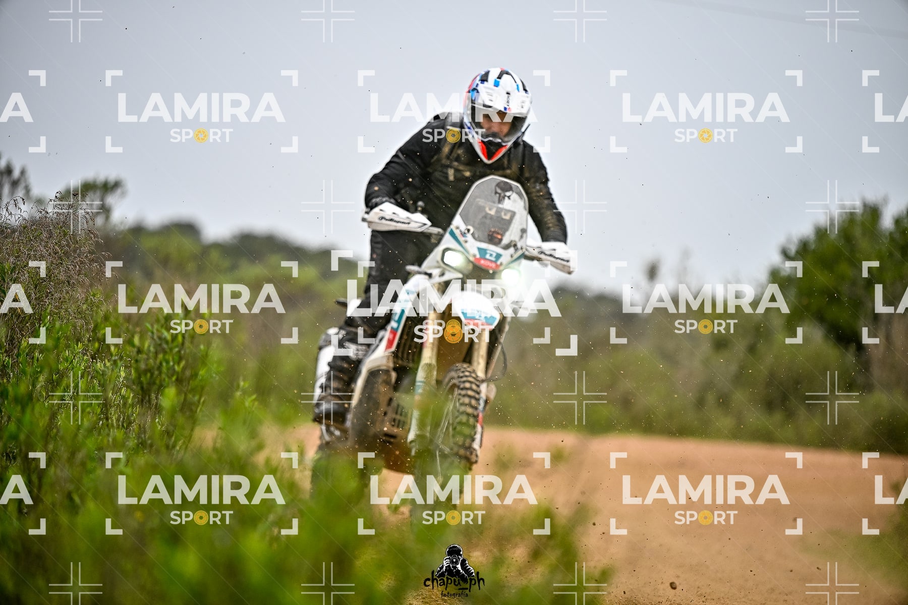 big trail — BCD6947
