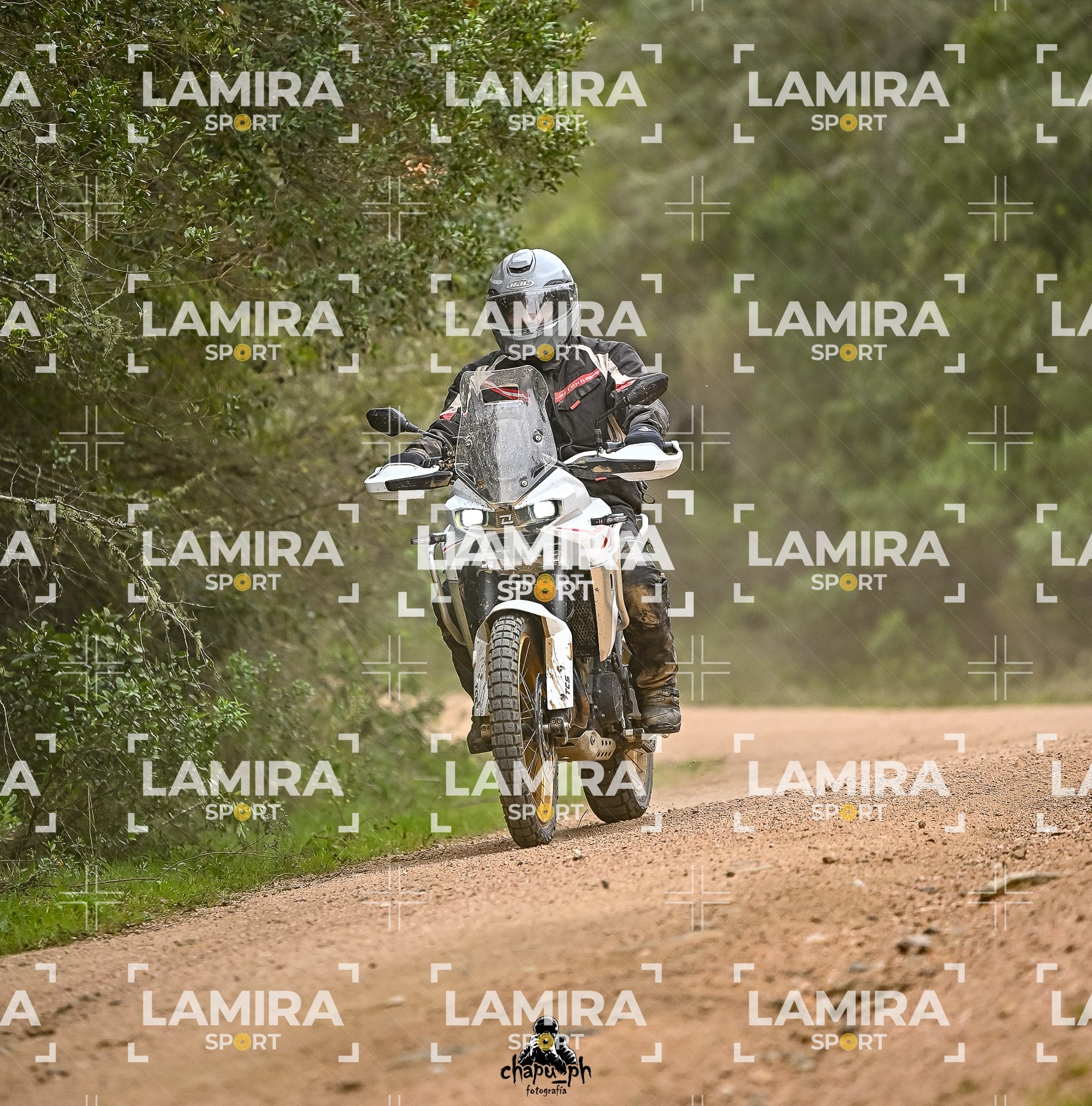 big trail — BCD6489