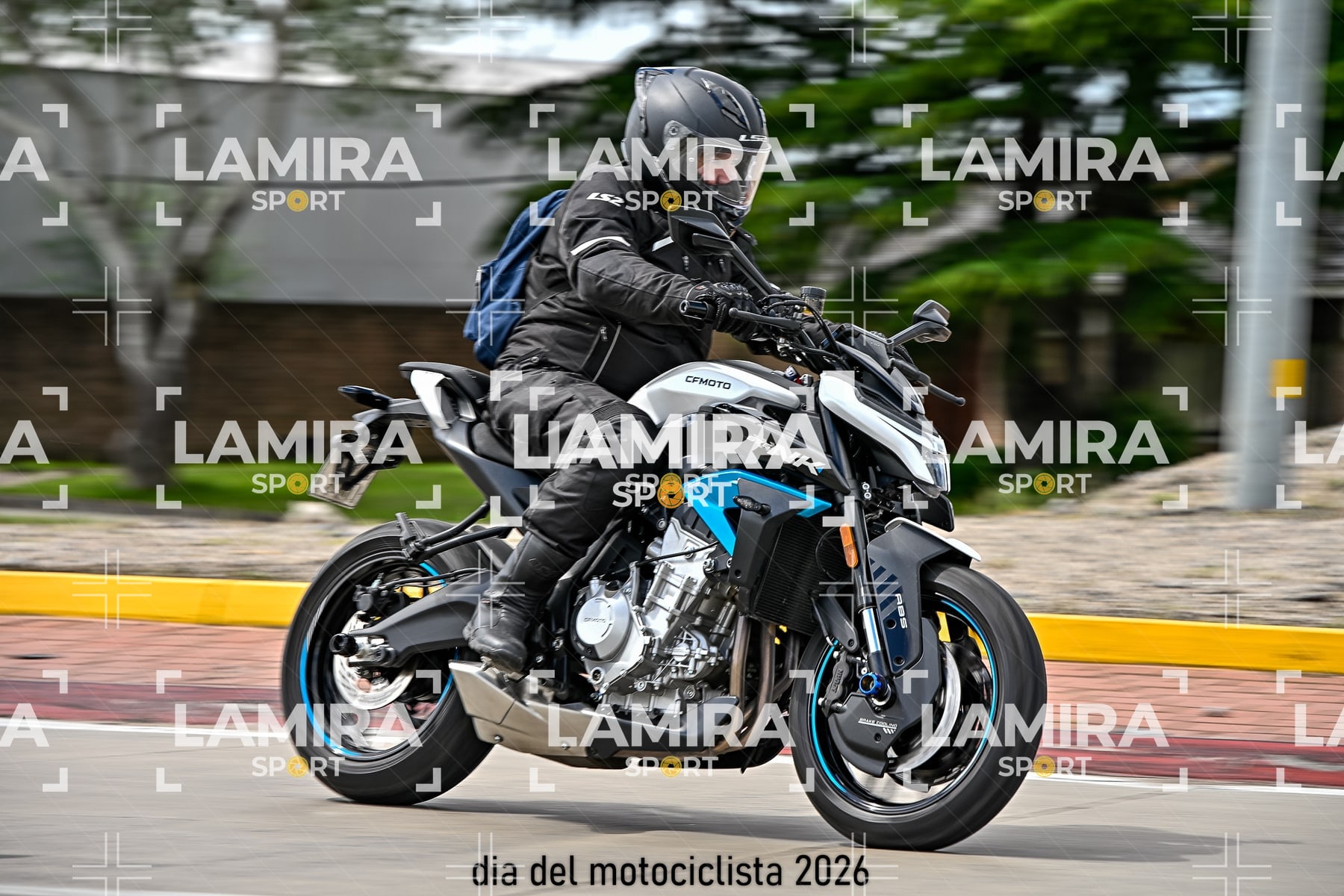 rotonda disa — BCD6617
