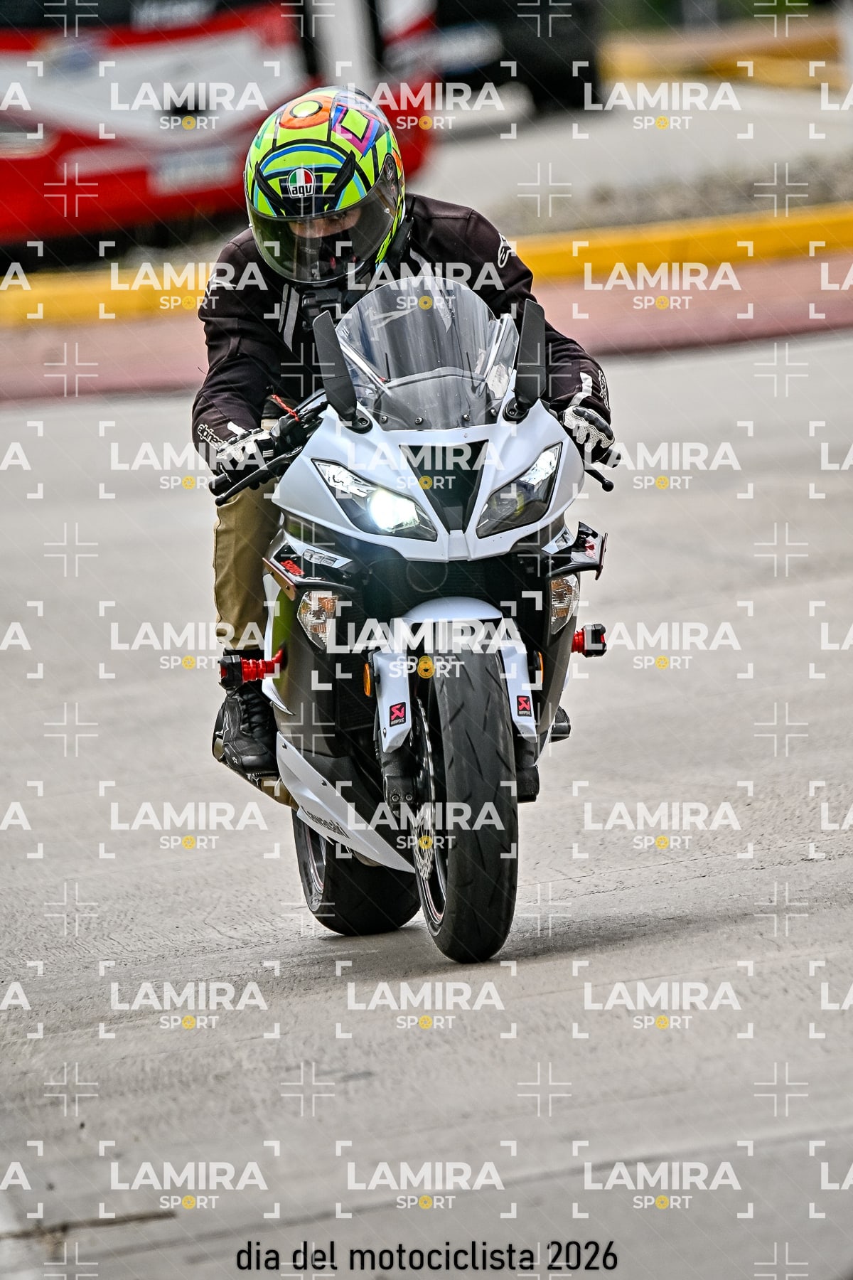 rotonda disa — BCD4903