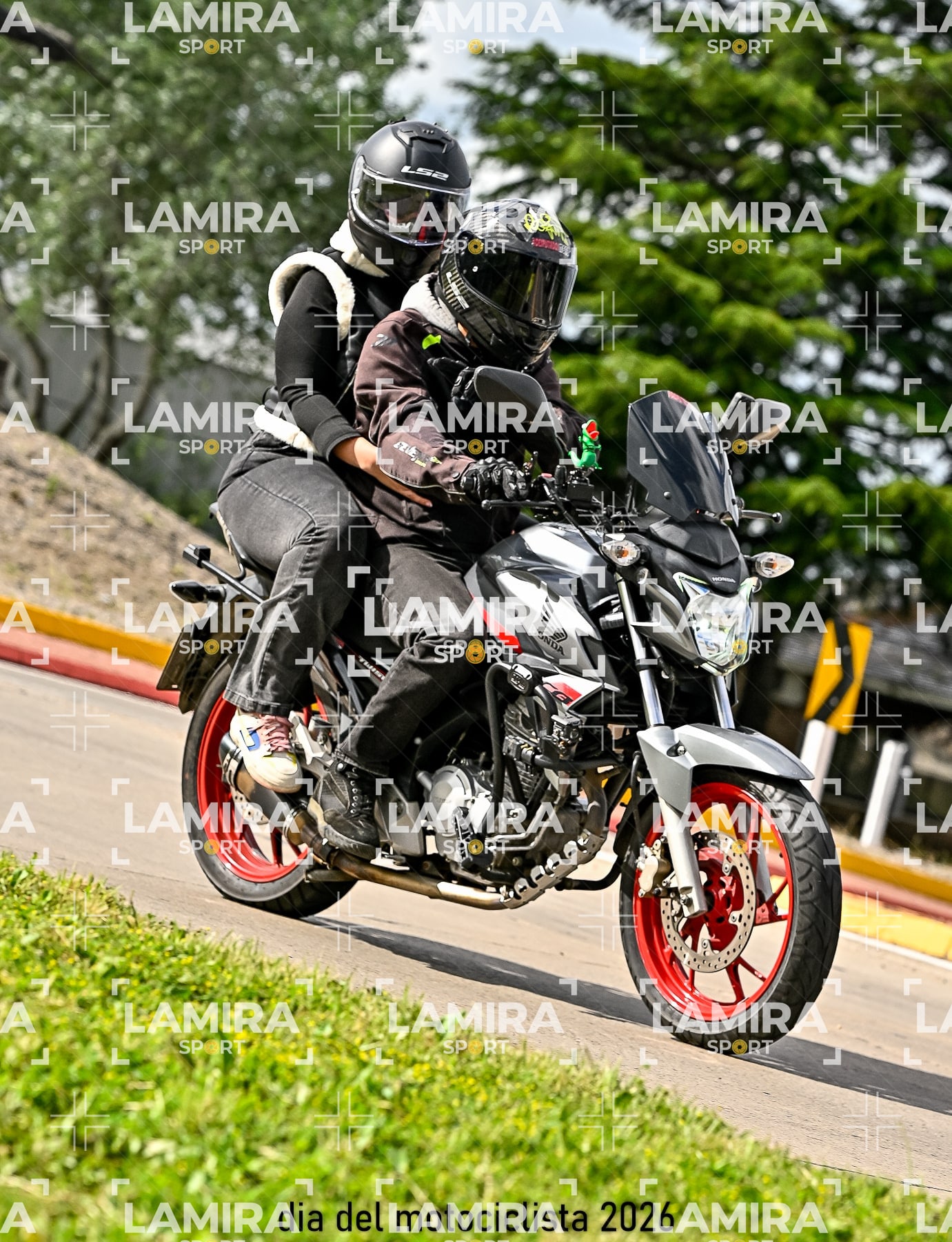 rotonda disa — BCD8212