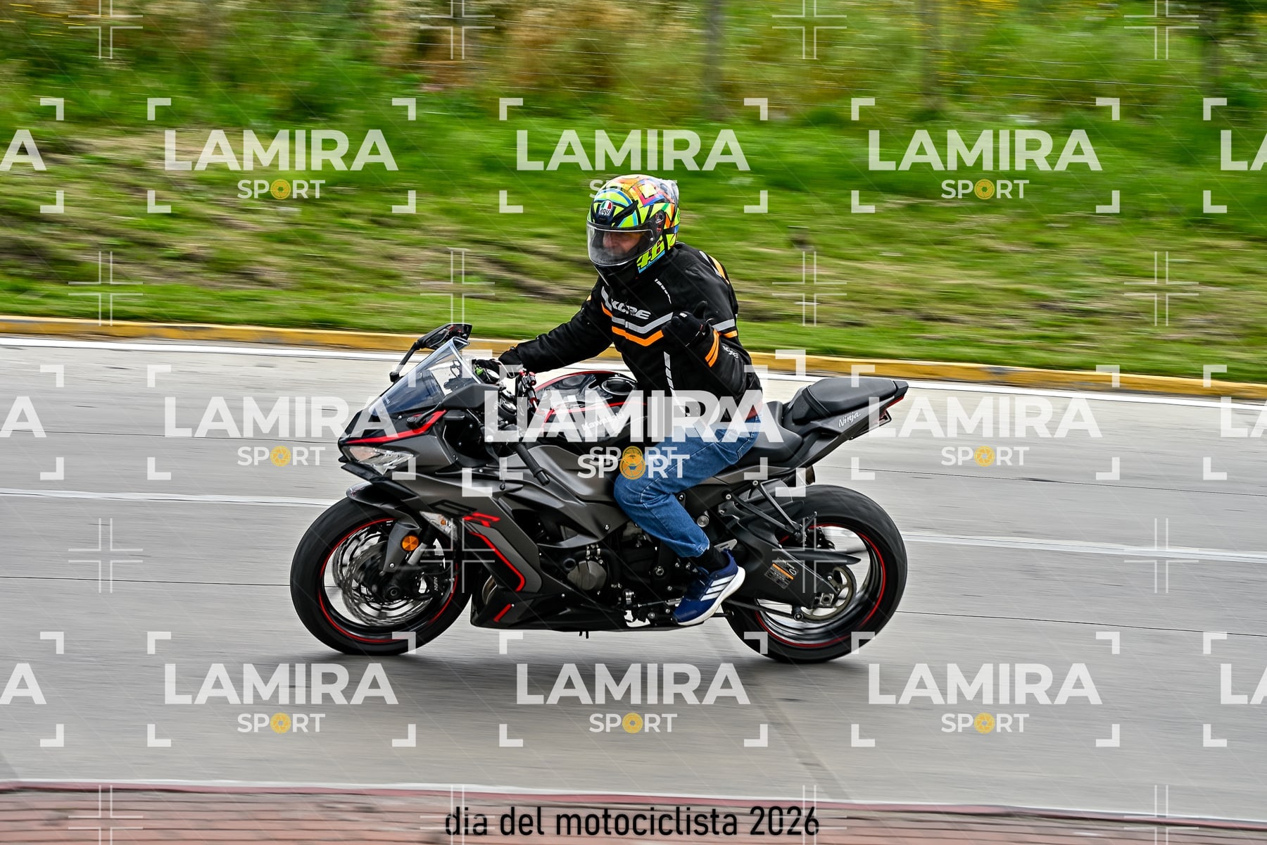 rotonda disa — BCD6166