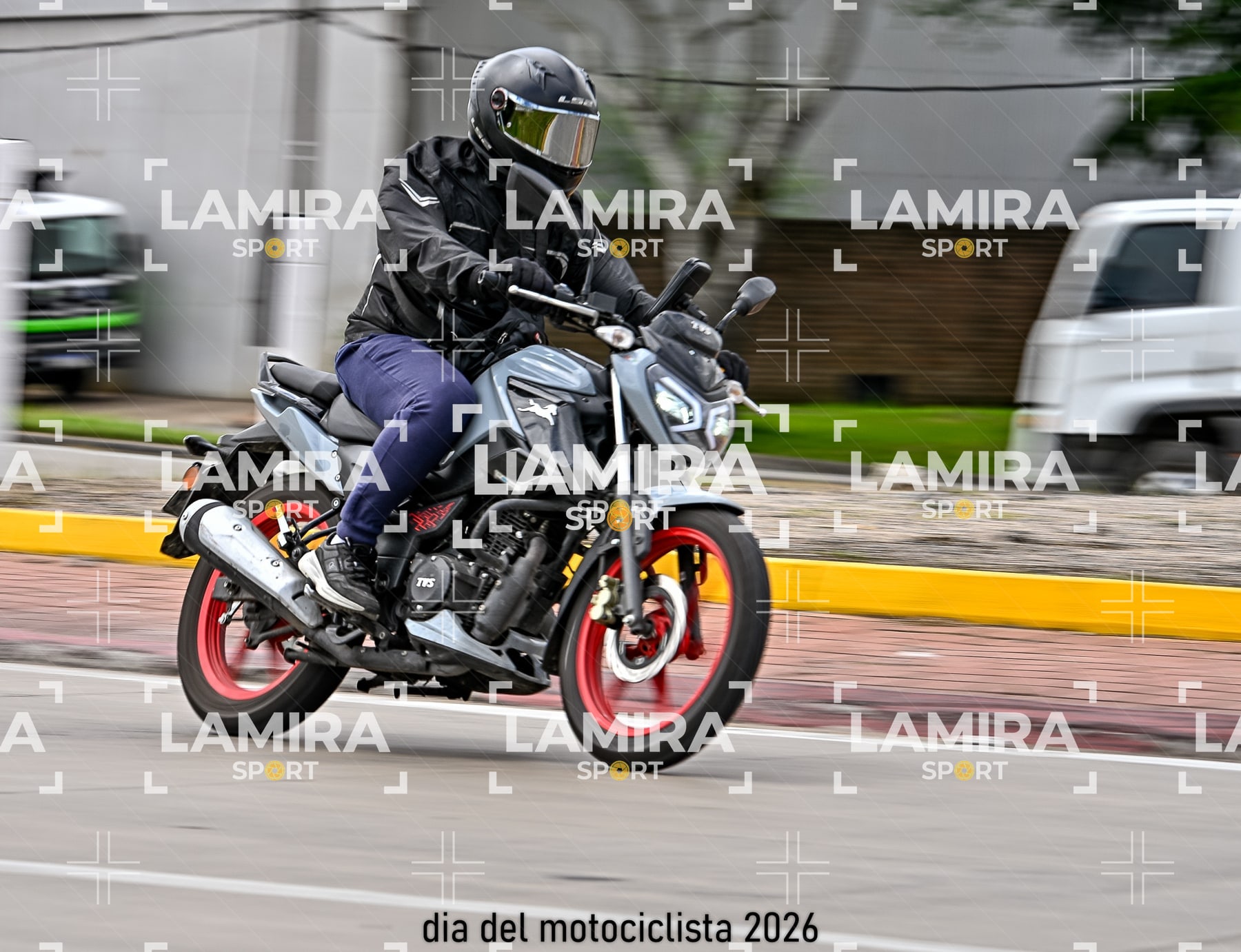 rotonda disa — BCD5531