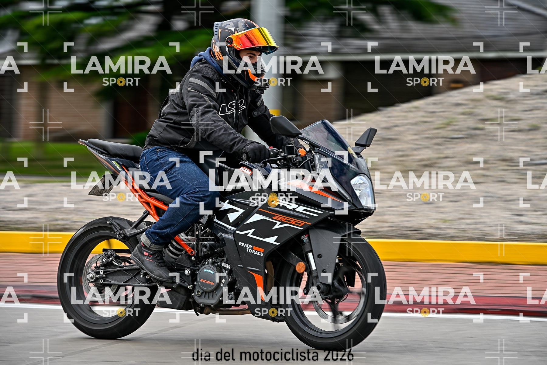 rotonda disa — BCD5181