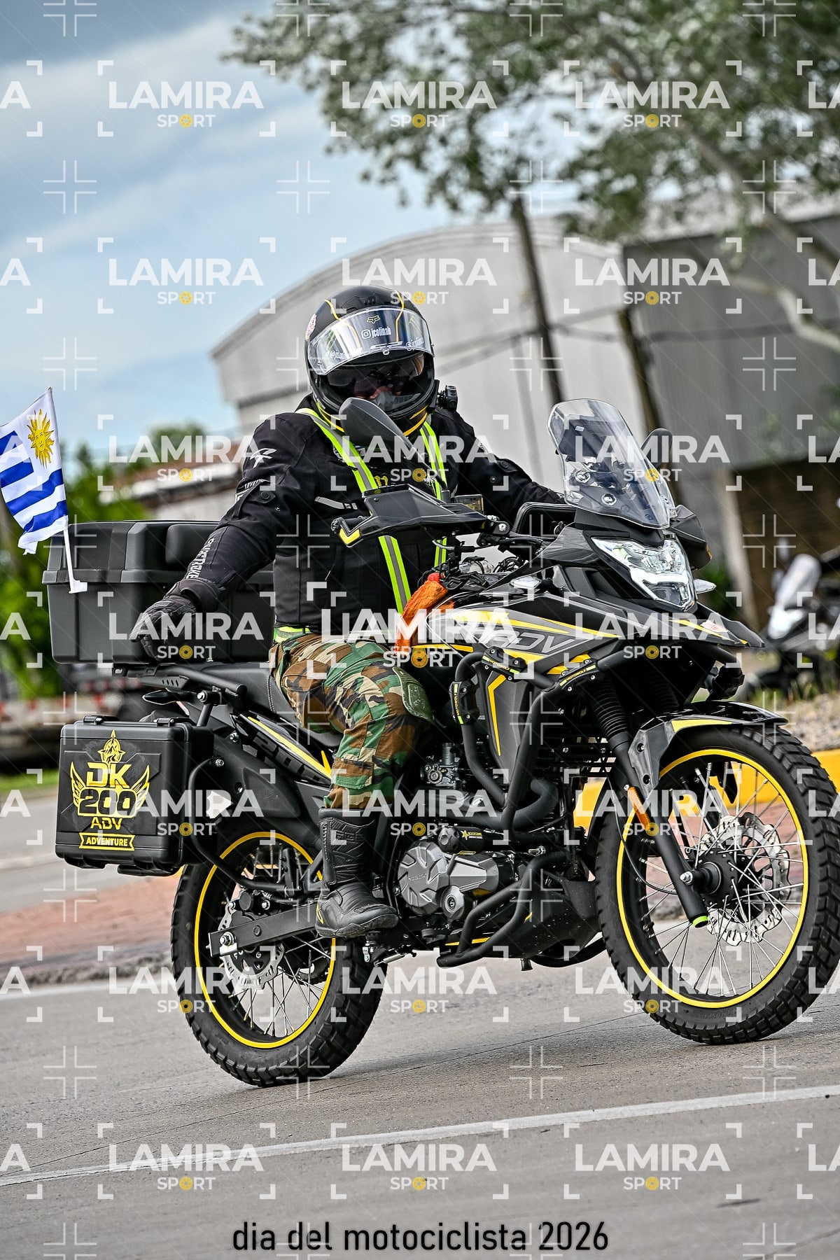 rotonda disa — BCD7854