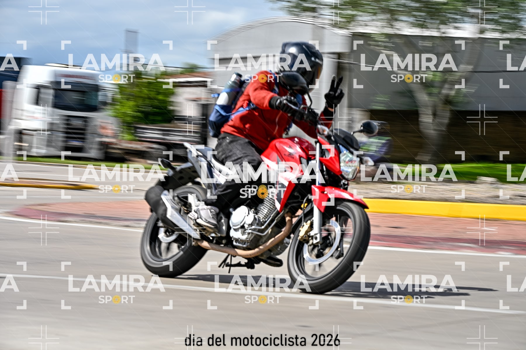 rotonda disa — BCD6887