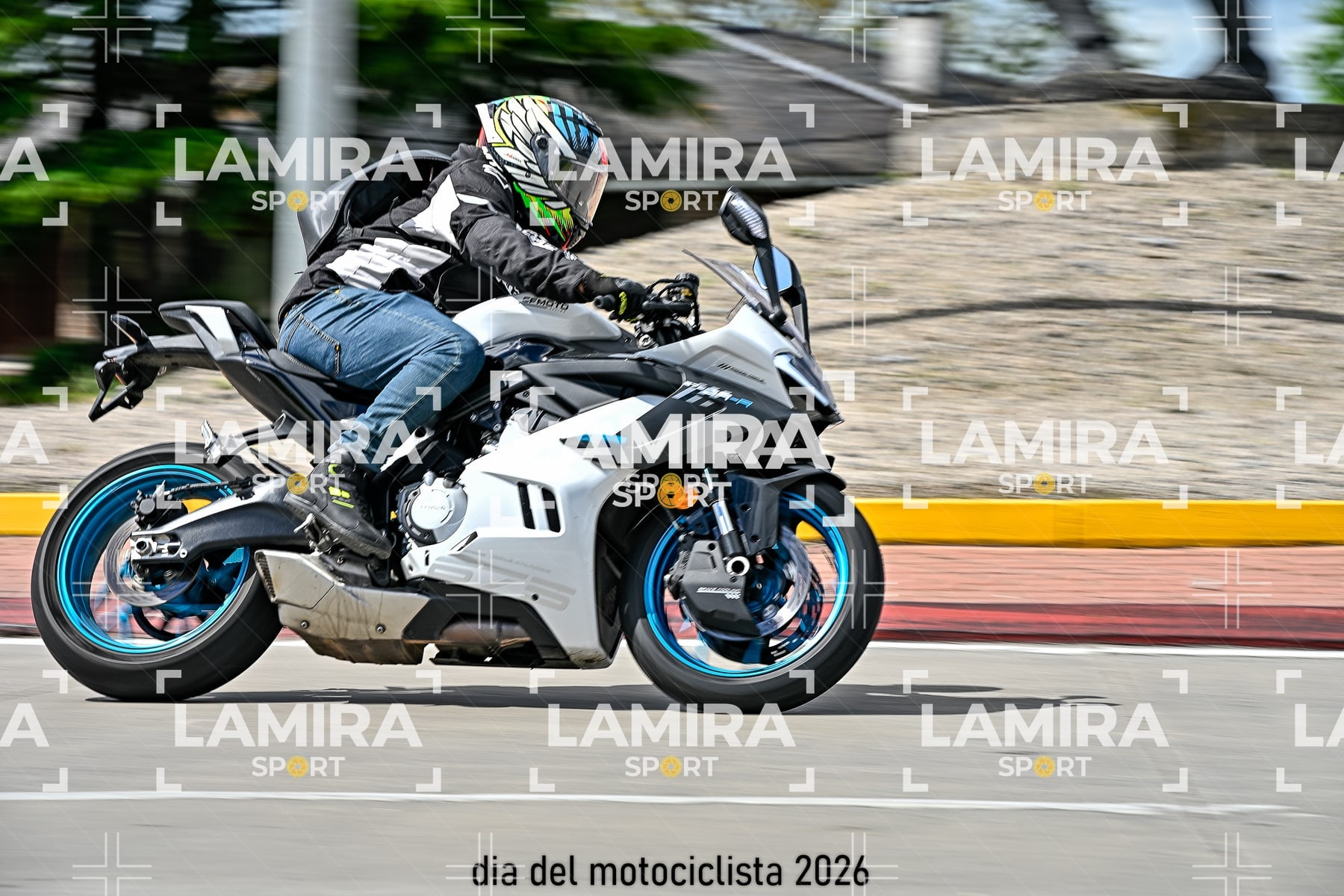rotonda disa — BCD6704