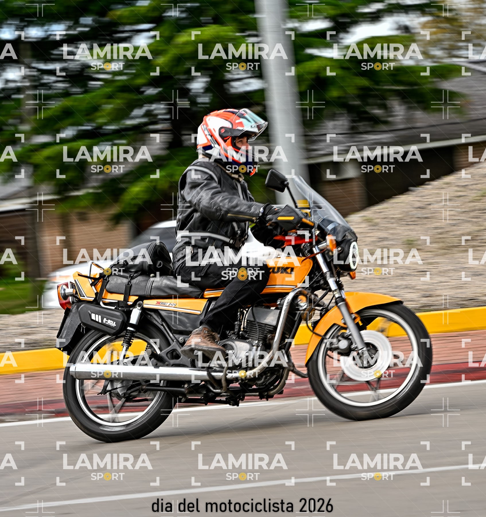 rotonda disa — BCD7713