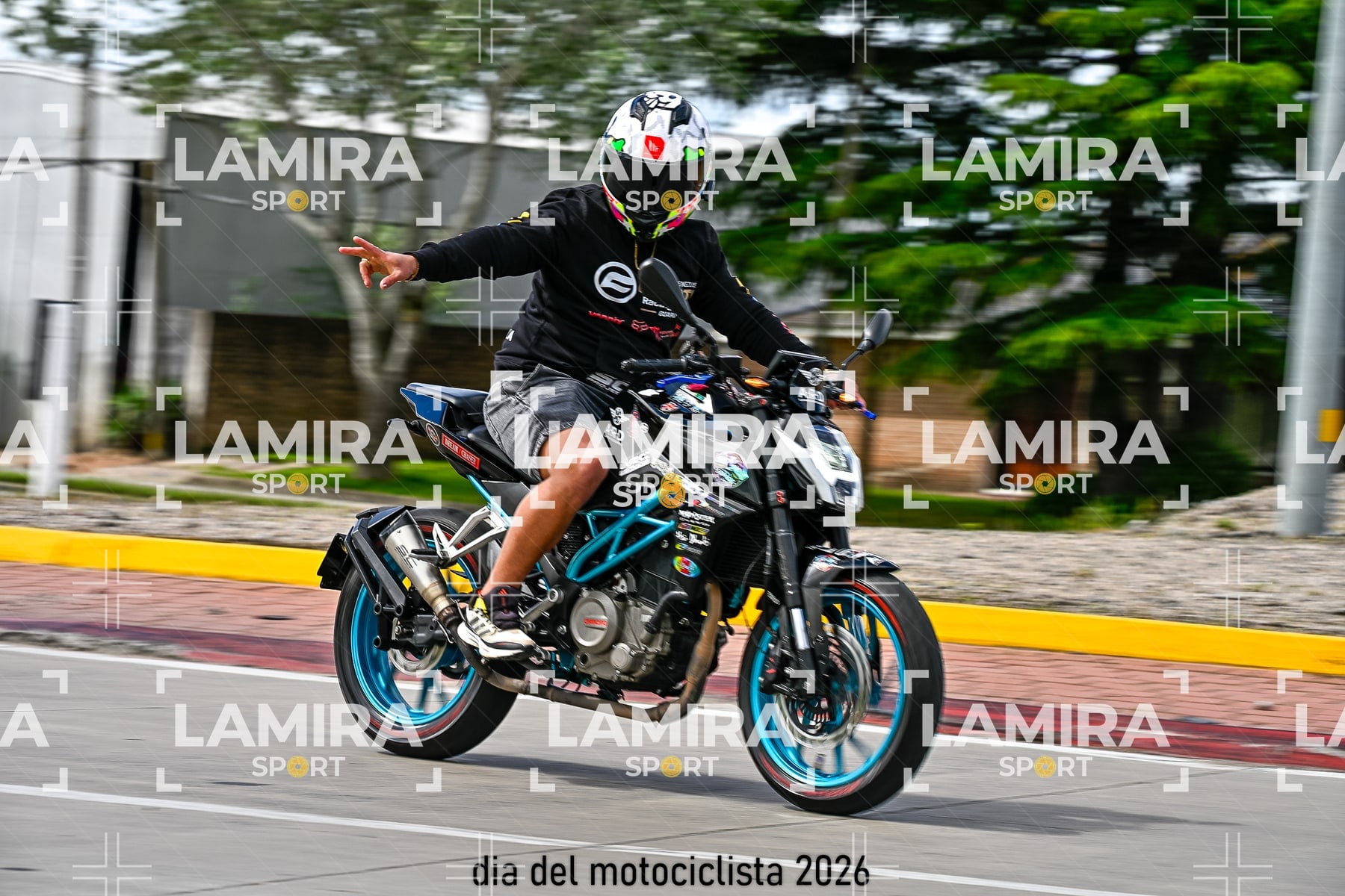 rotonda disa — BCD7022
