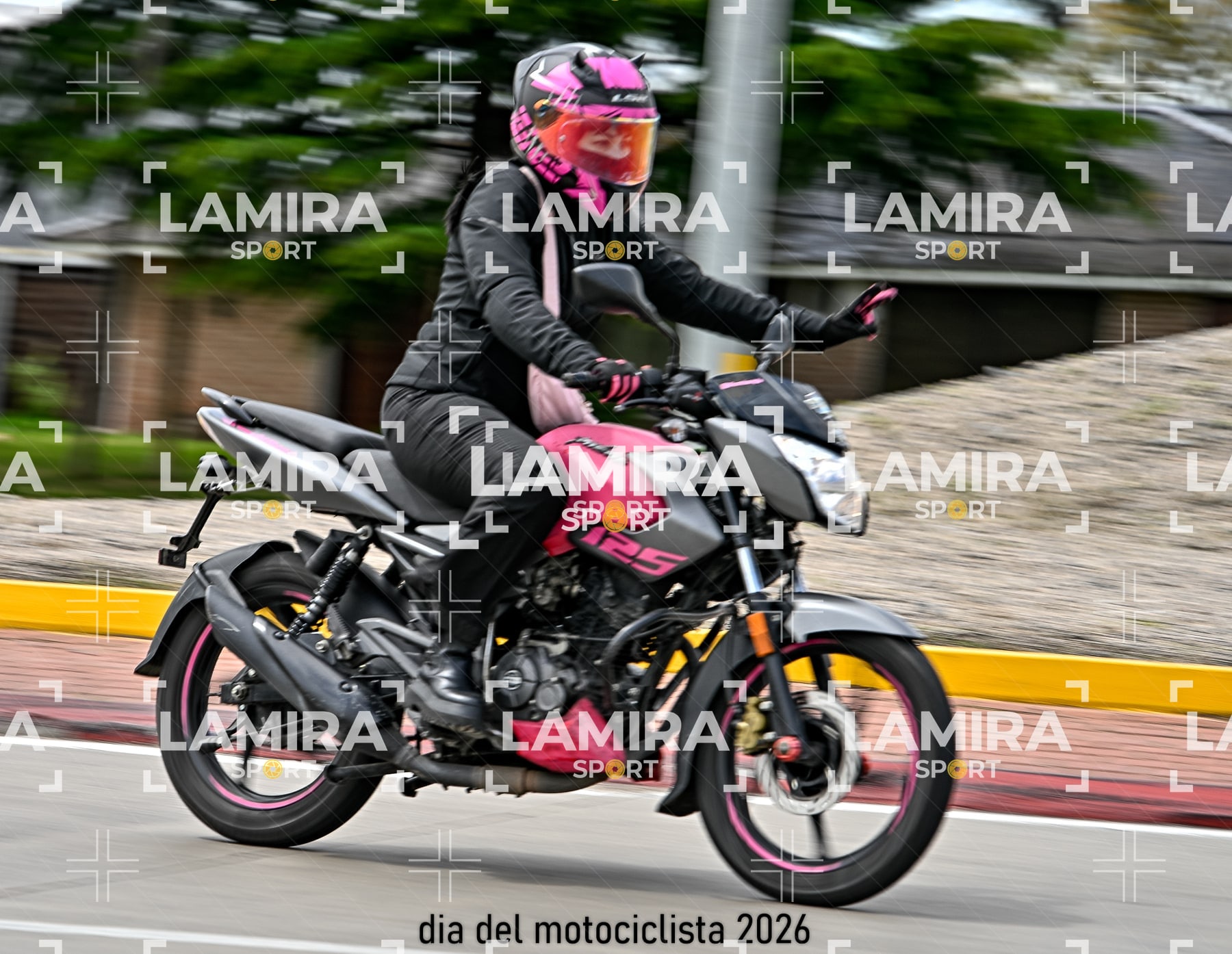 rotonda disa — BCD5592
