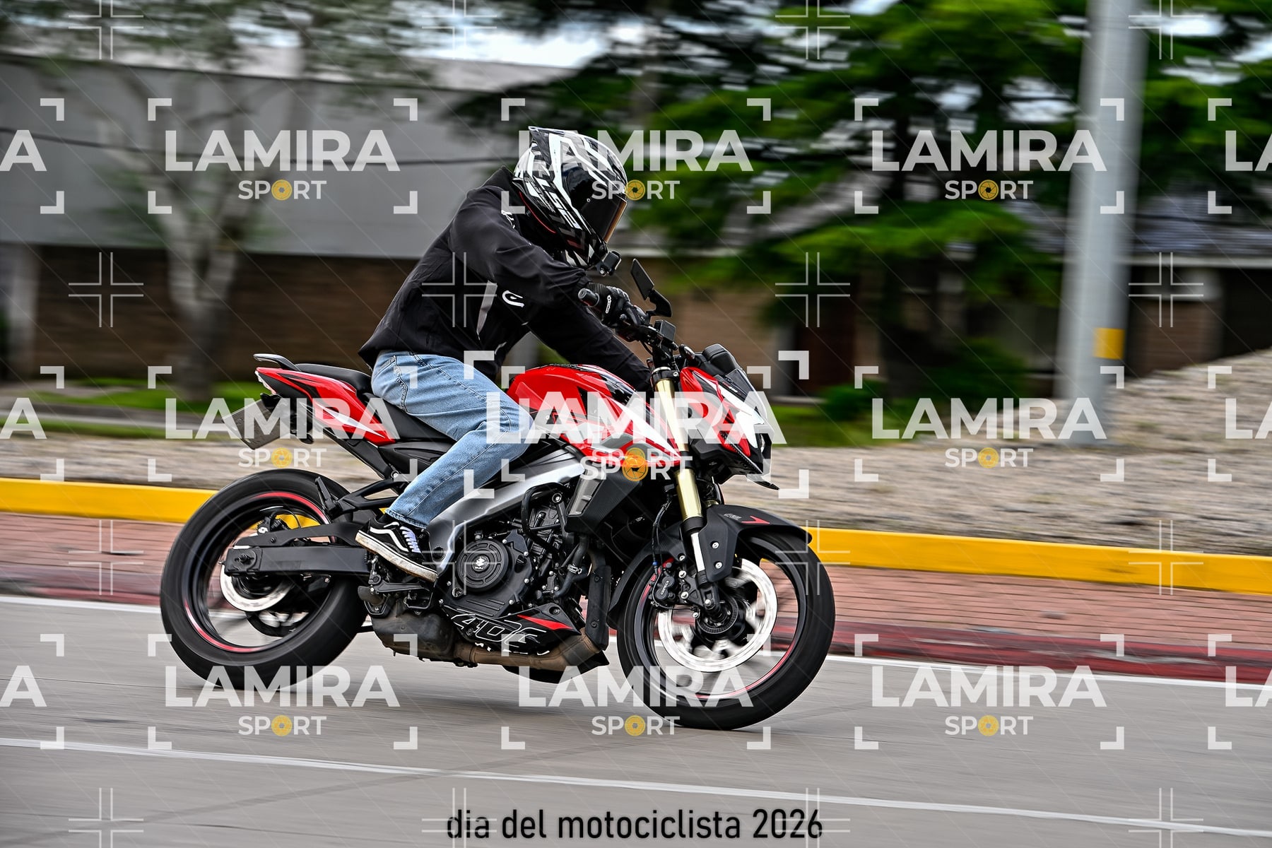 rotonda disa — BCD5438