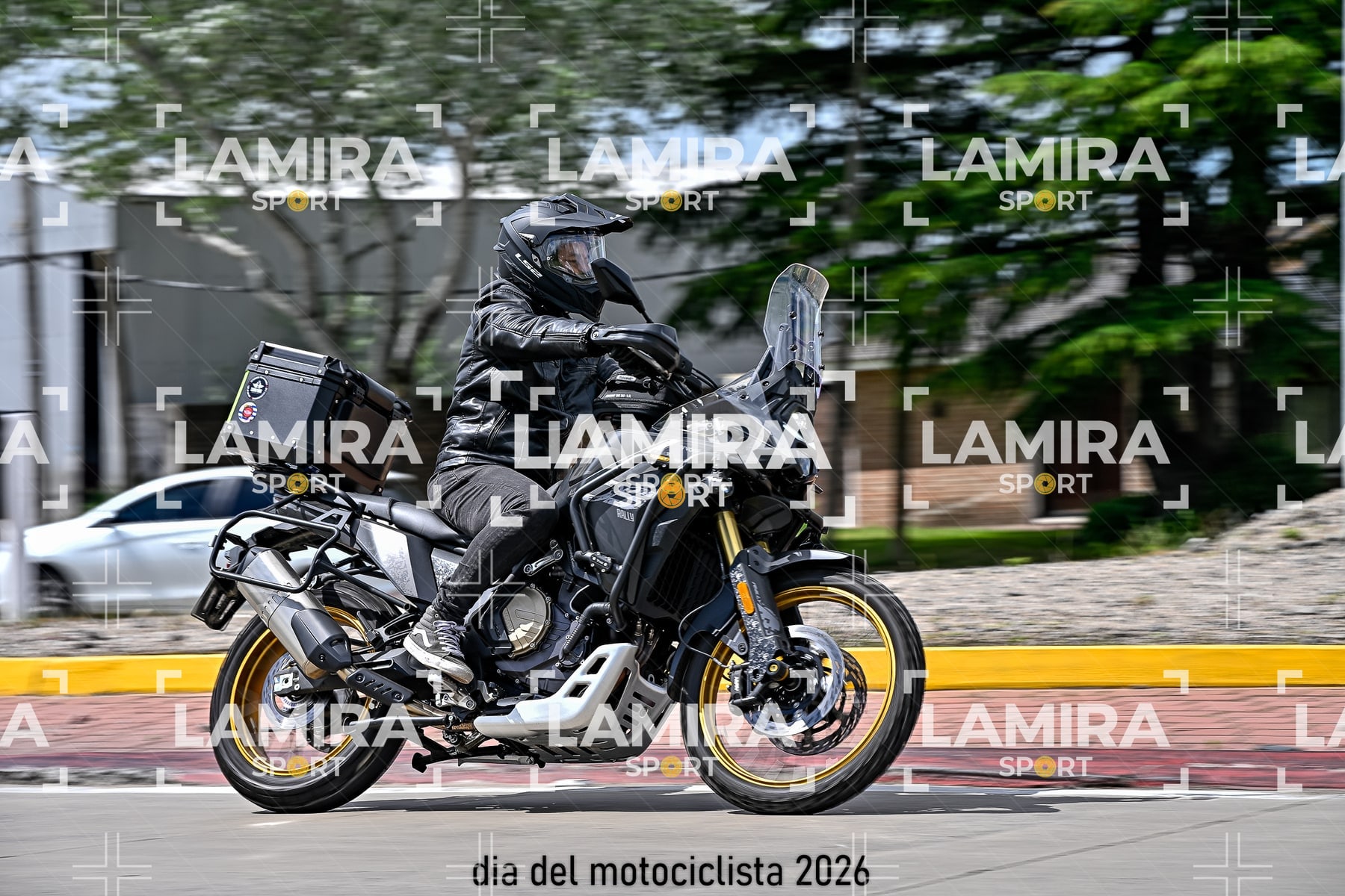 rotonda disa — BCD6709