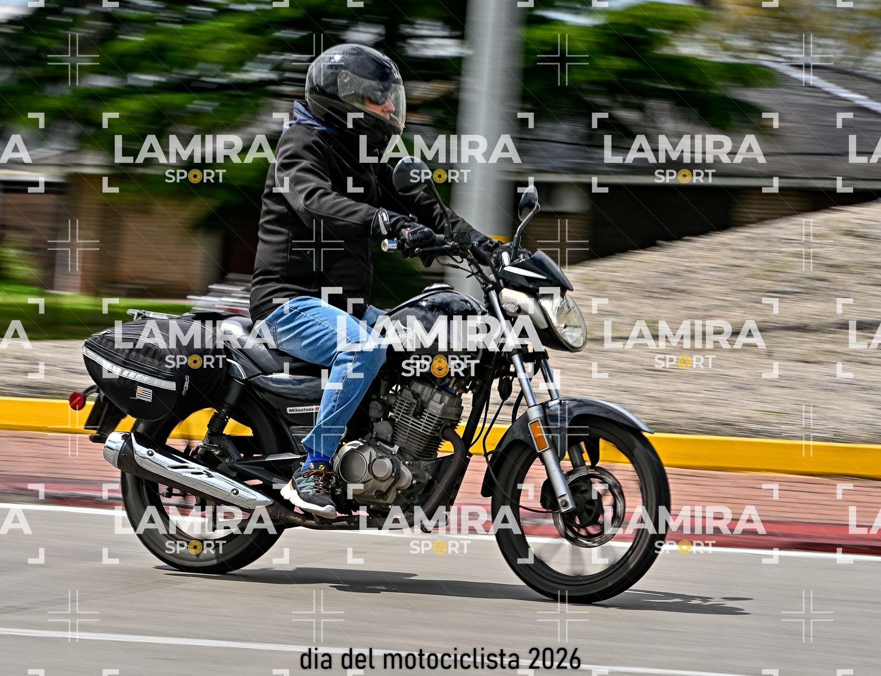 rotonda disa — BCD5661