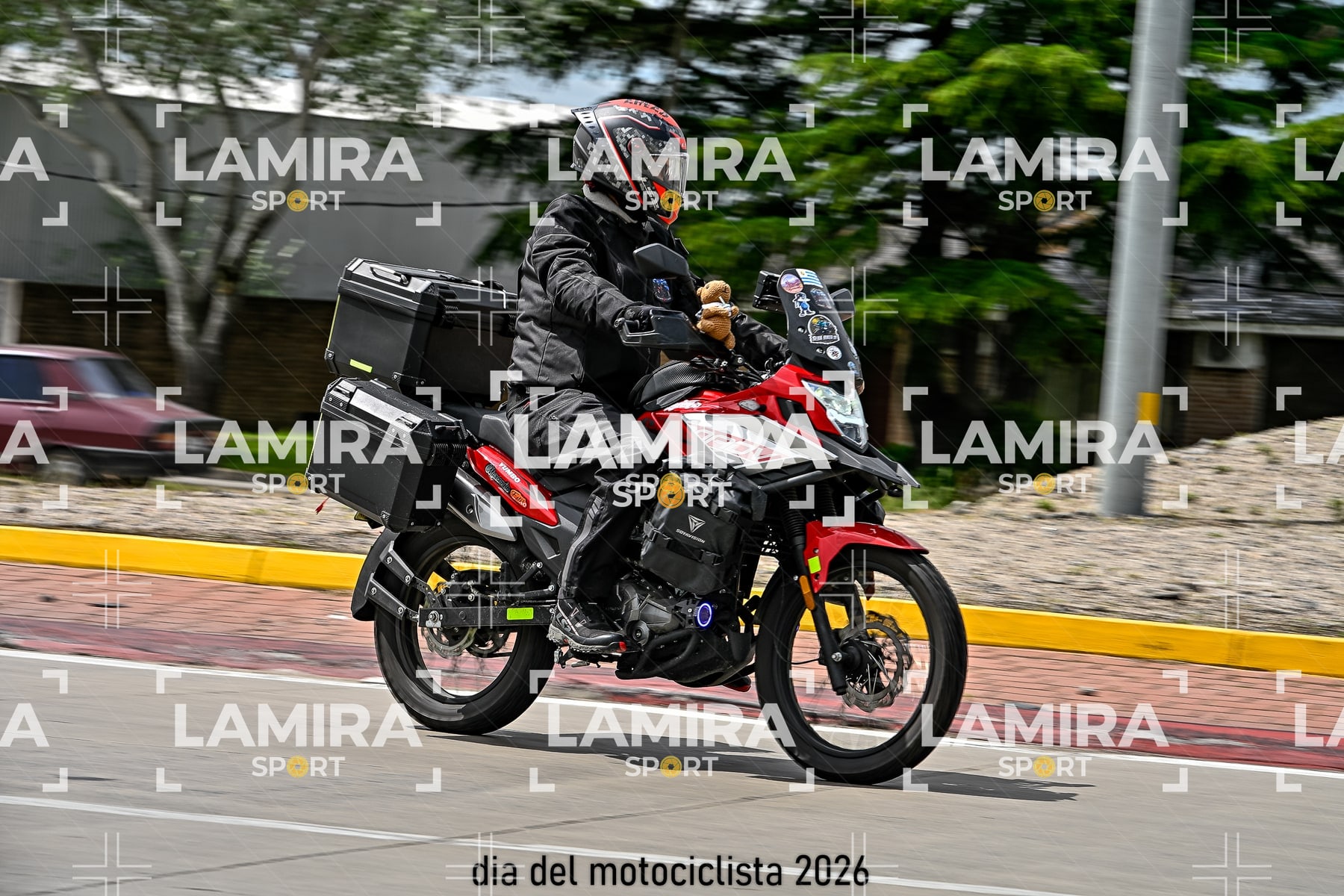 rotonda disa — BCD5701