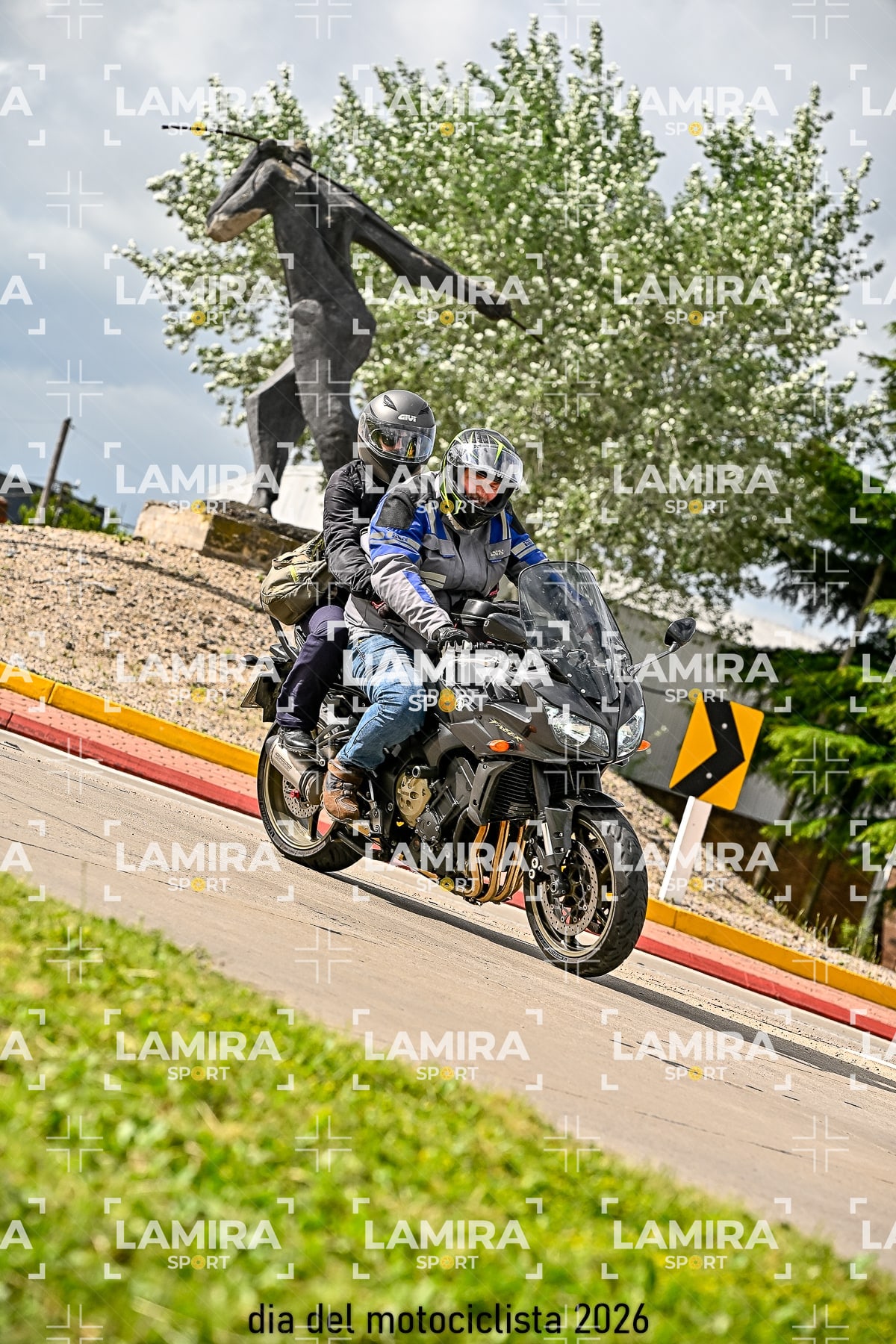 rotonda disa — BCD8160