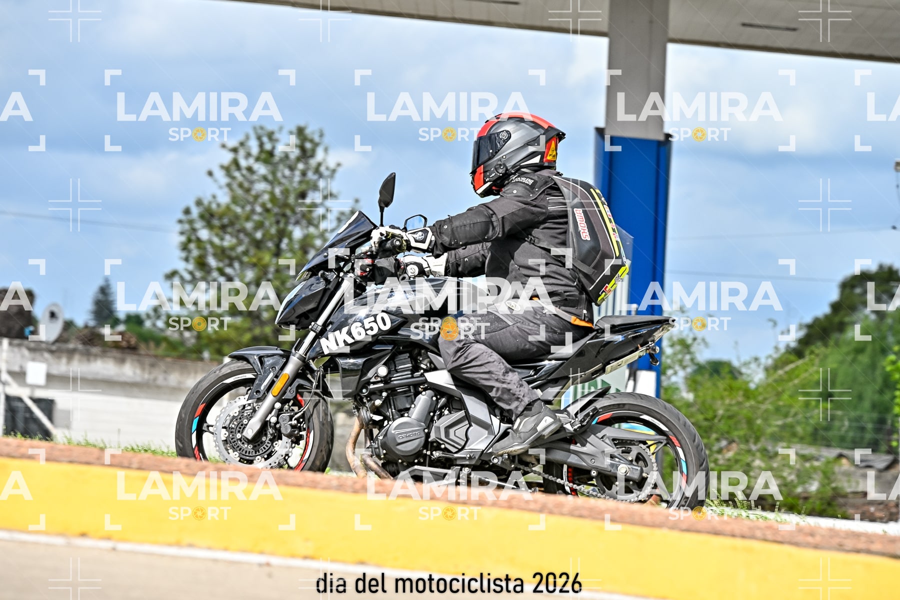 rotonda disa — BCD8081