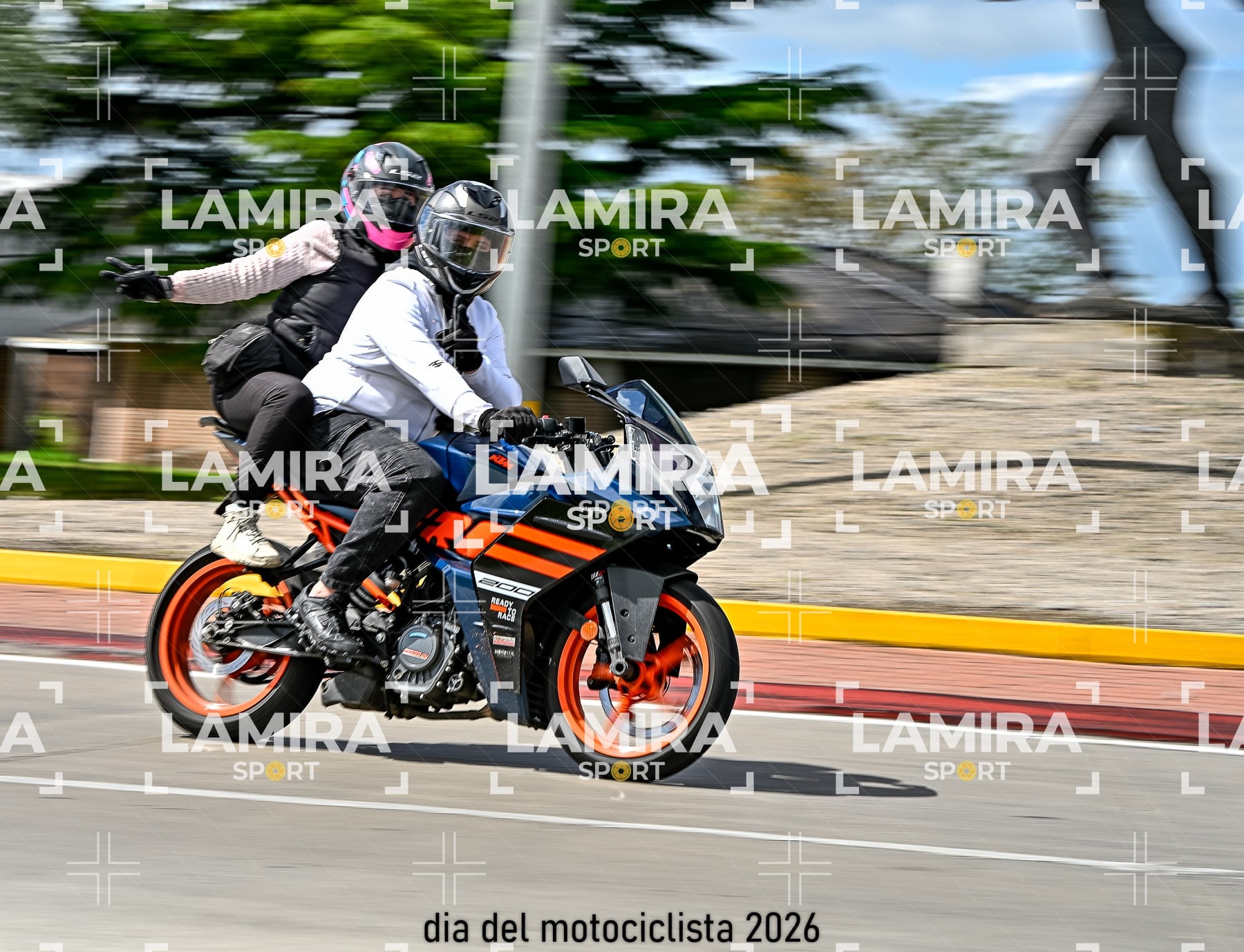 rotonda disa — BCD6997