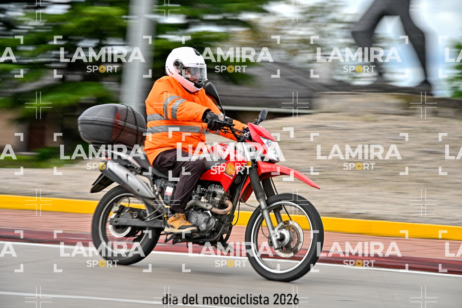 rotonda disa — BCD7499
