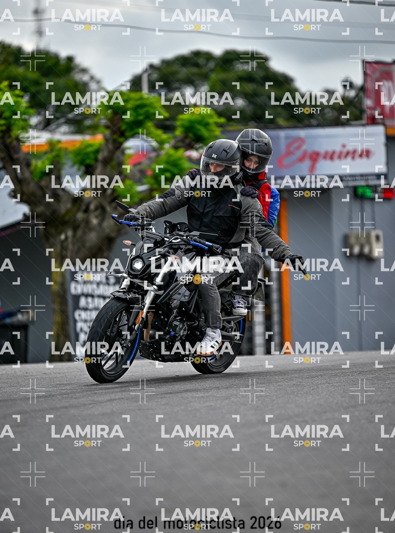 rotonda disa — BCD8750