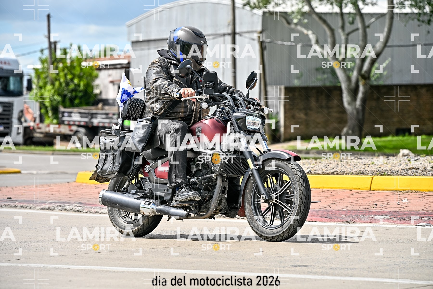 rotonda disa — BCD6453