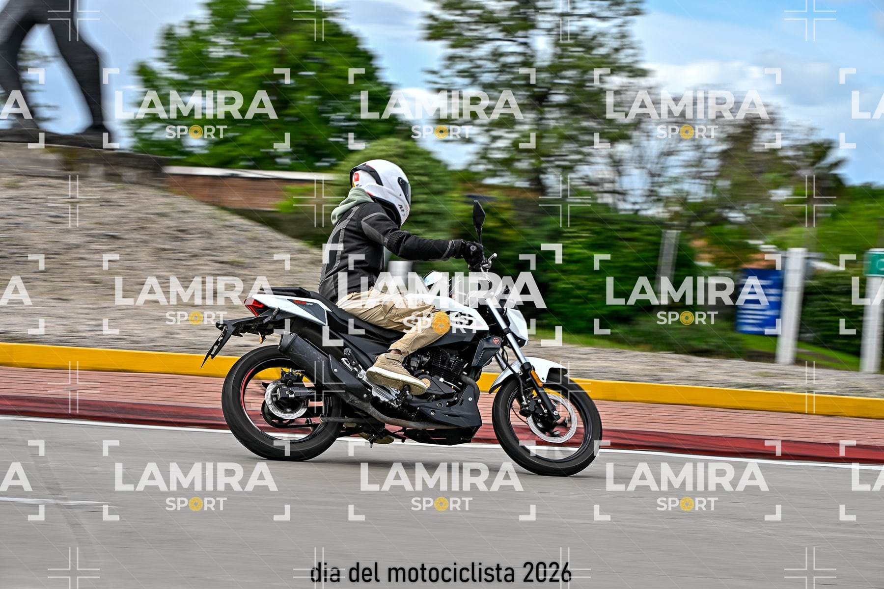 rotonda disa — BCD6008