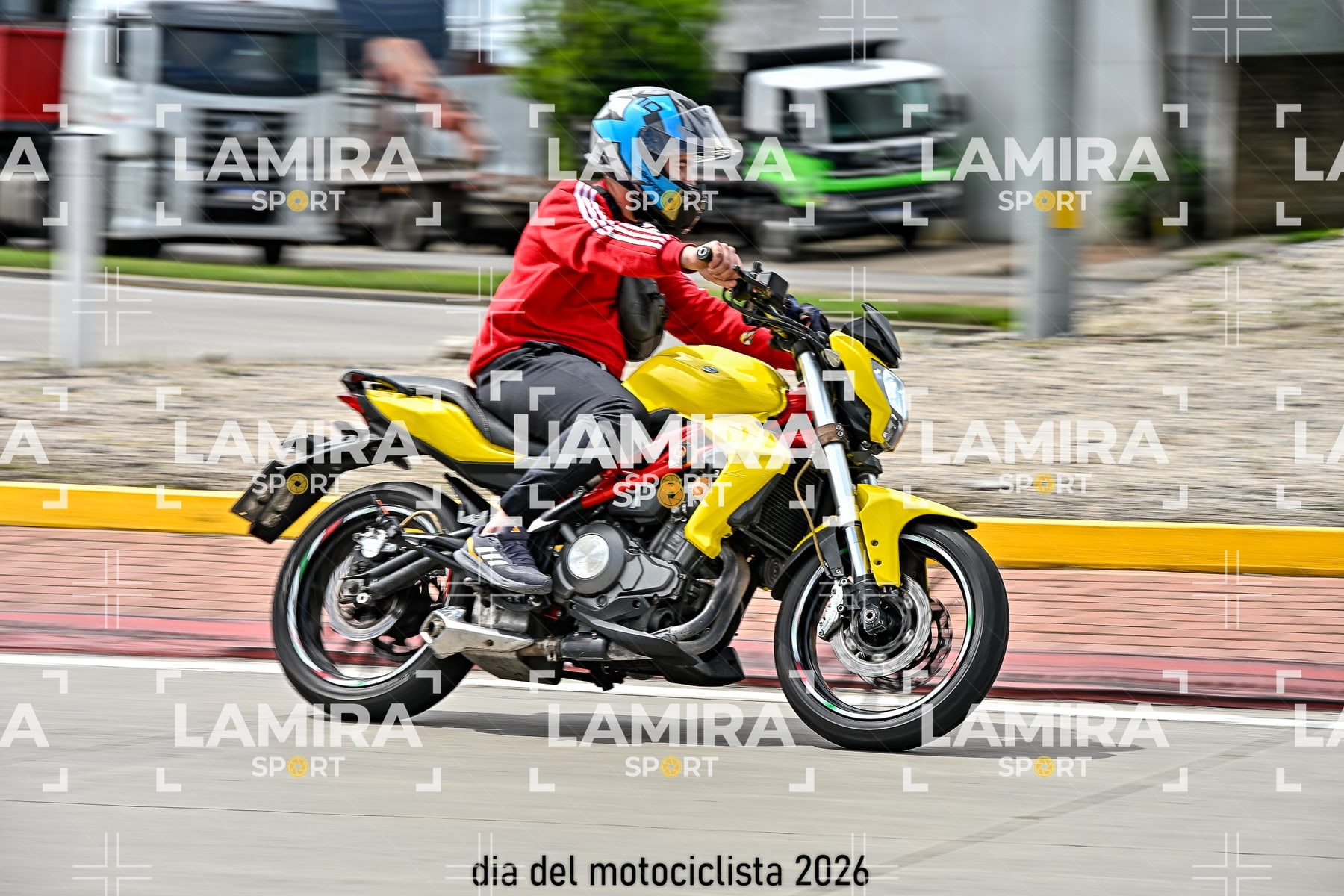 rotonda disa — BCD6298