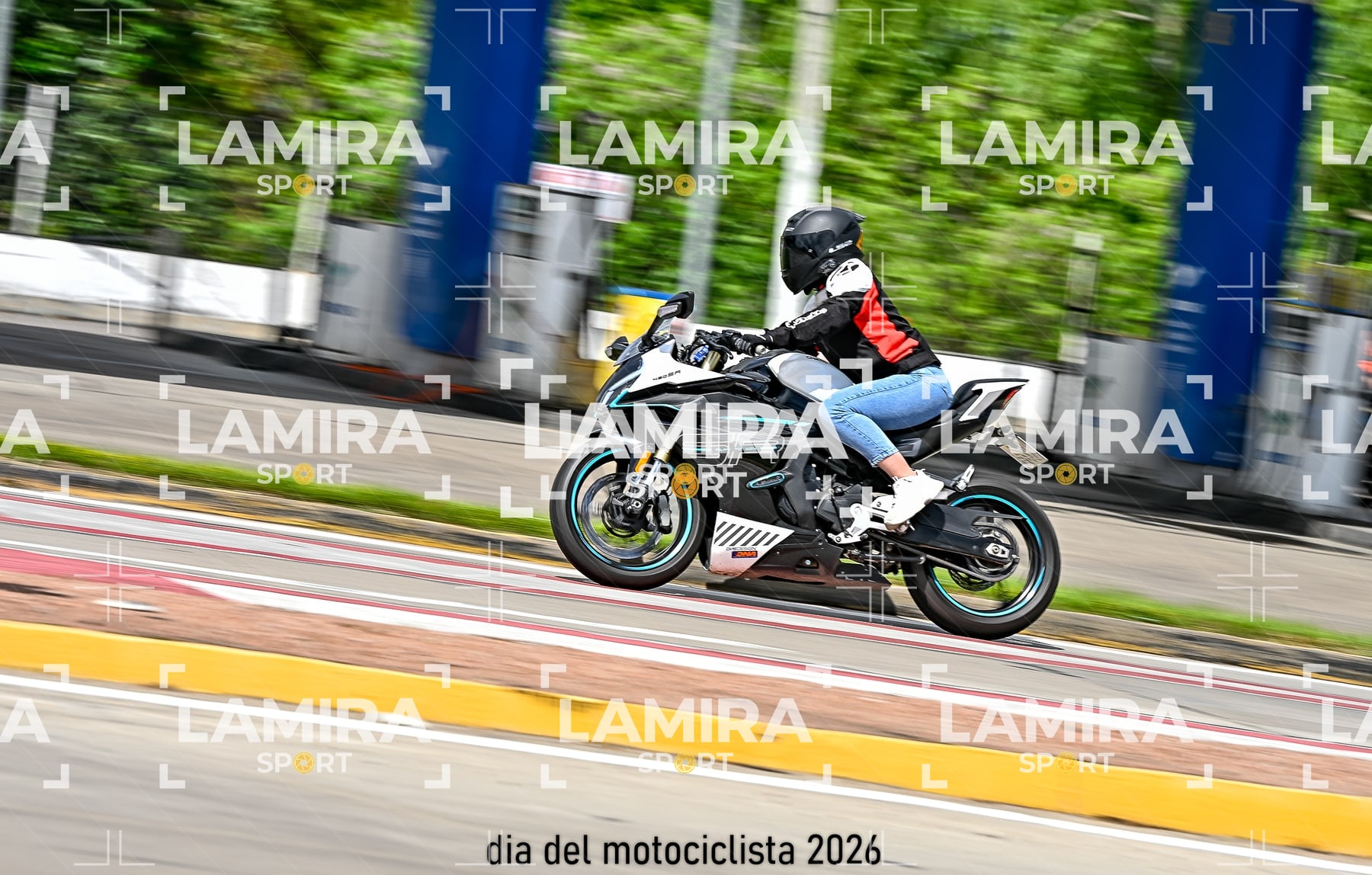 rotonda disa — BCD6740