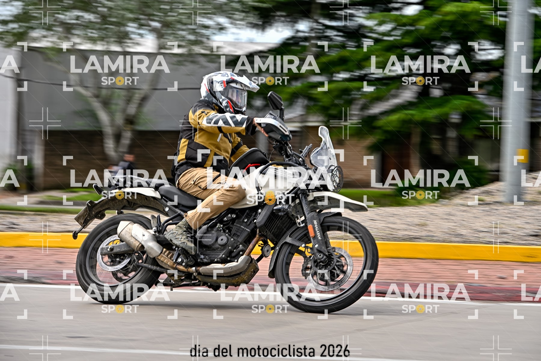 rotonda disa — BCD5615