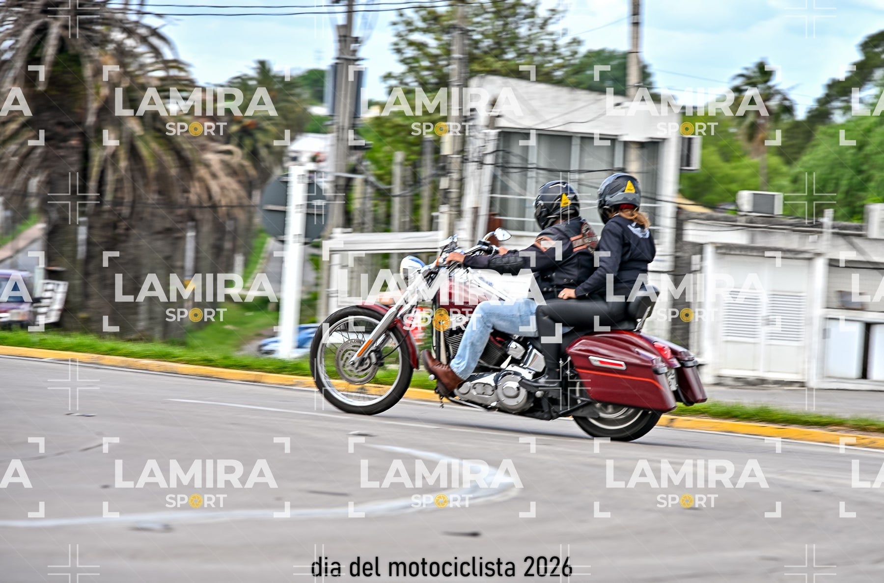 rotonda disa — BCD7138