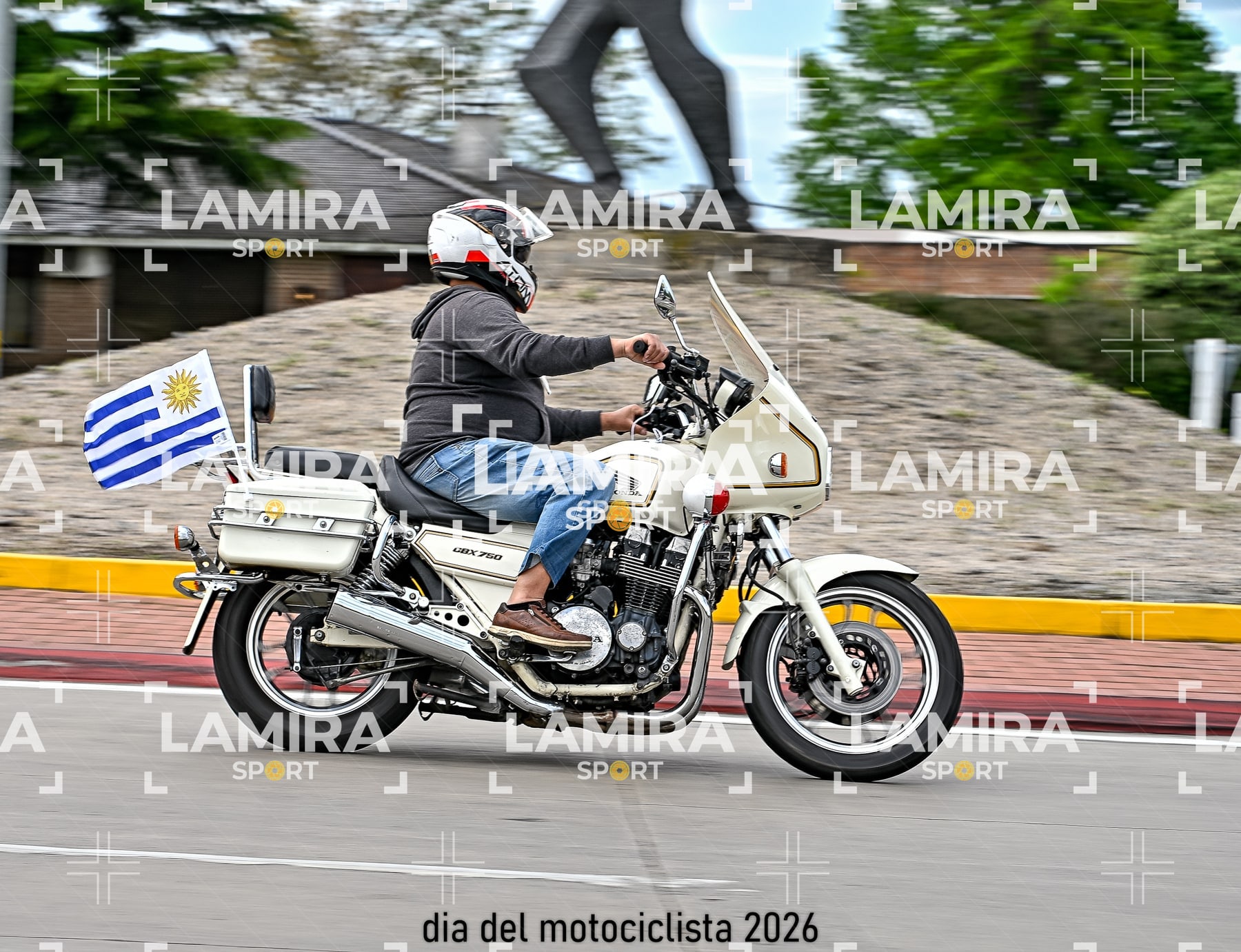 rotonda disa — BCD5225
