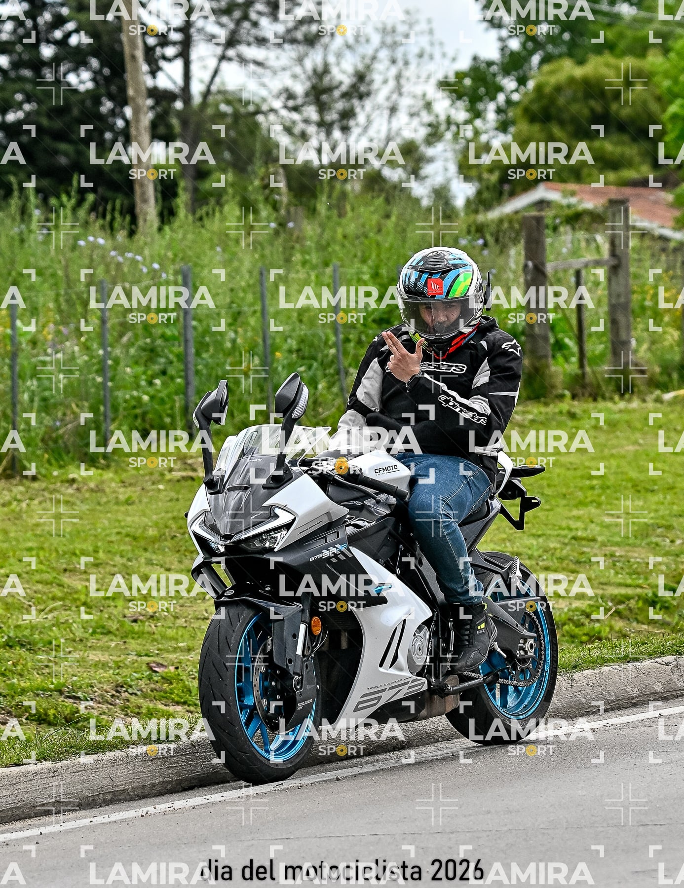 rotonda disa — BCD4952