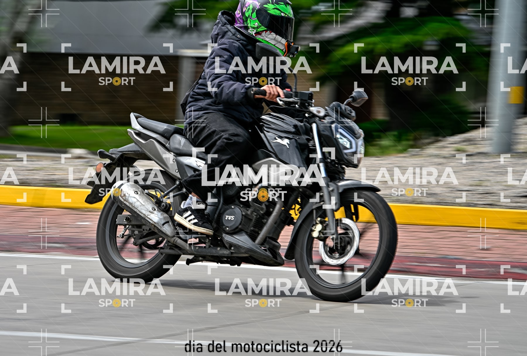 rotonda disa — BCD5810