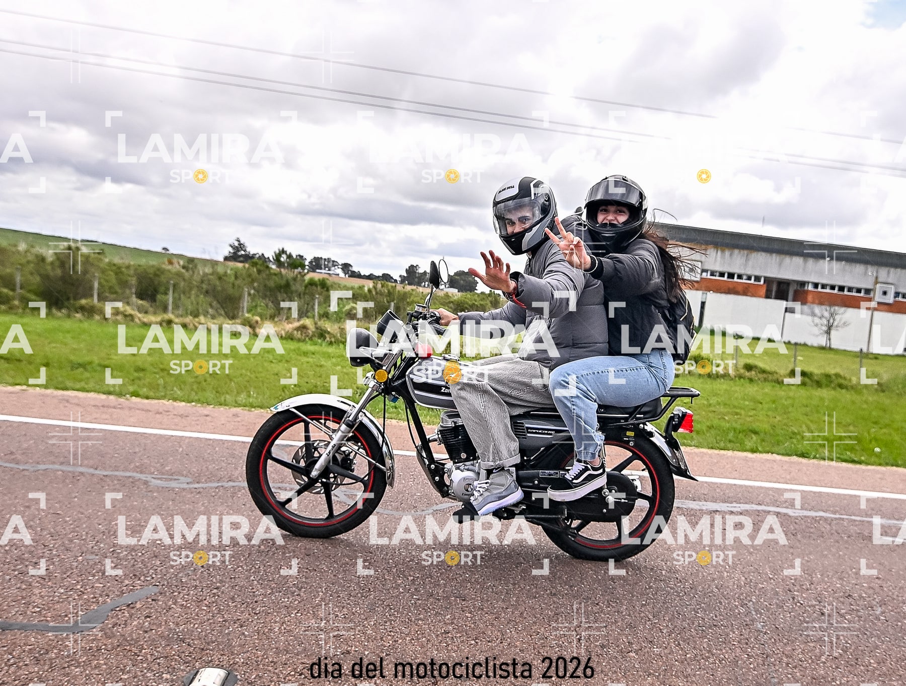 rotonda disa — BCD2441