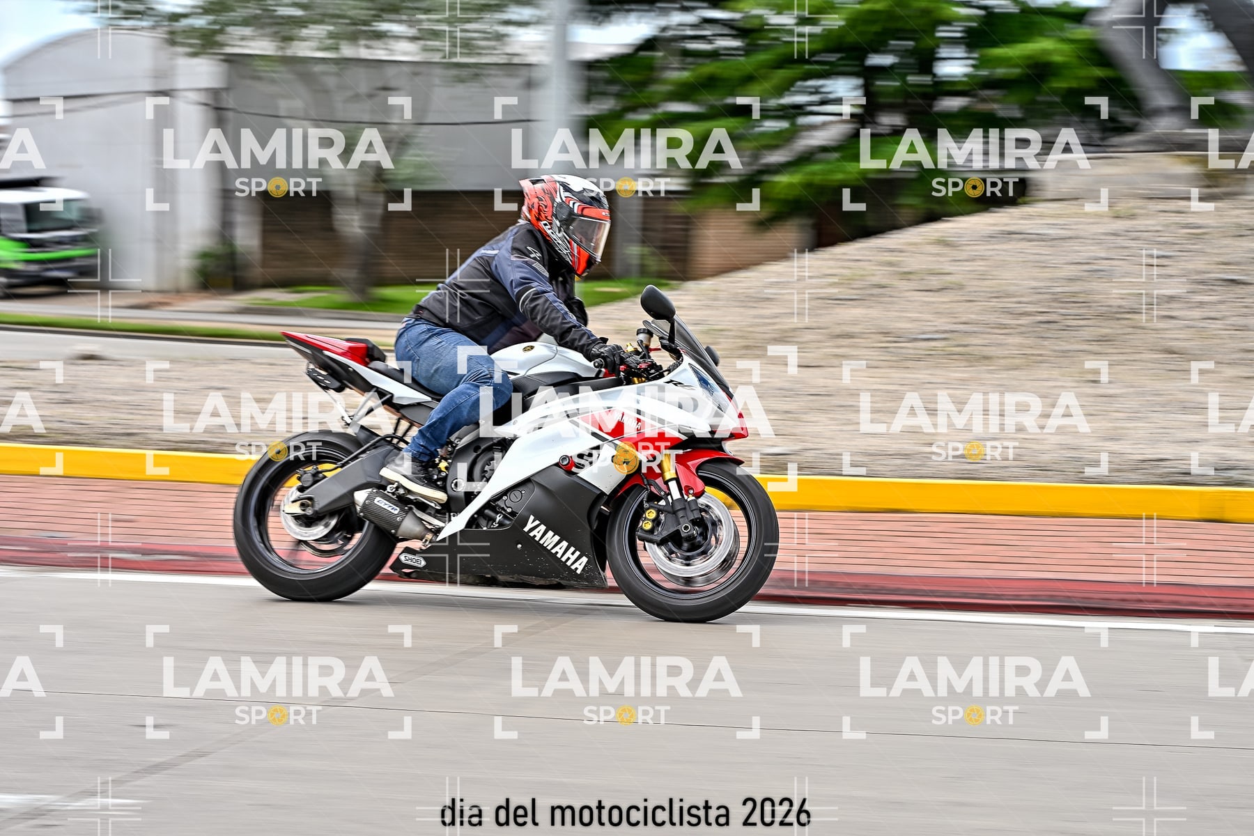 rotonda disa — BCD6140