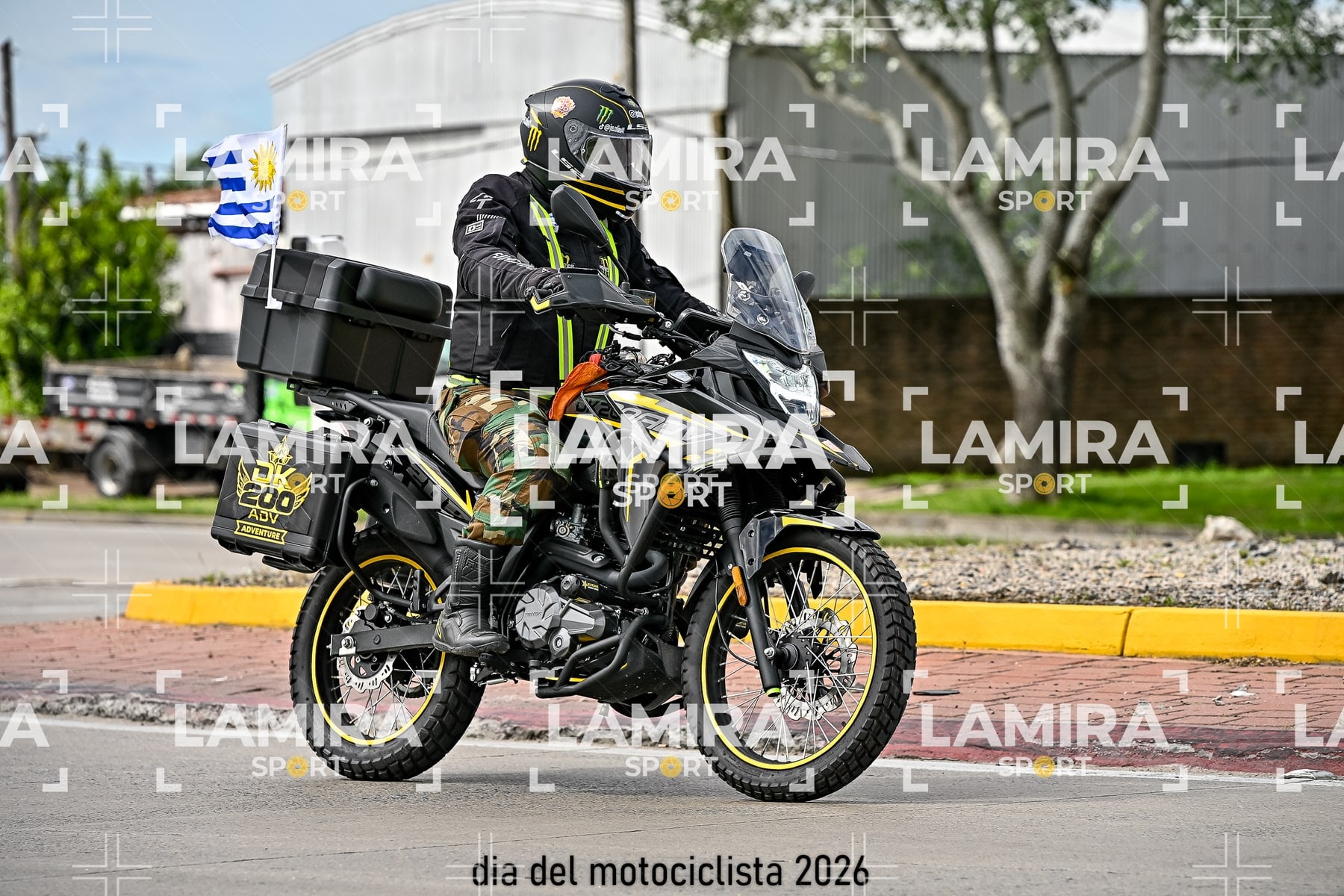 rotonda disa — BCD7802