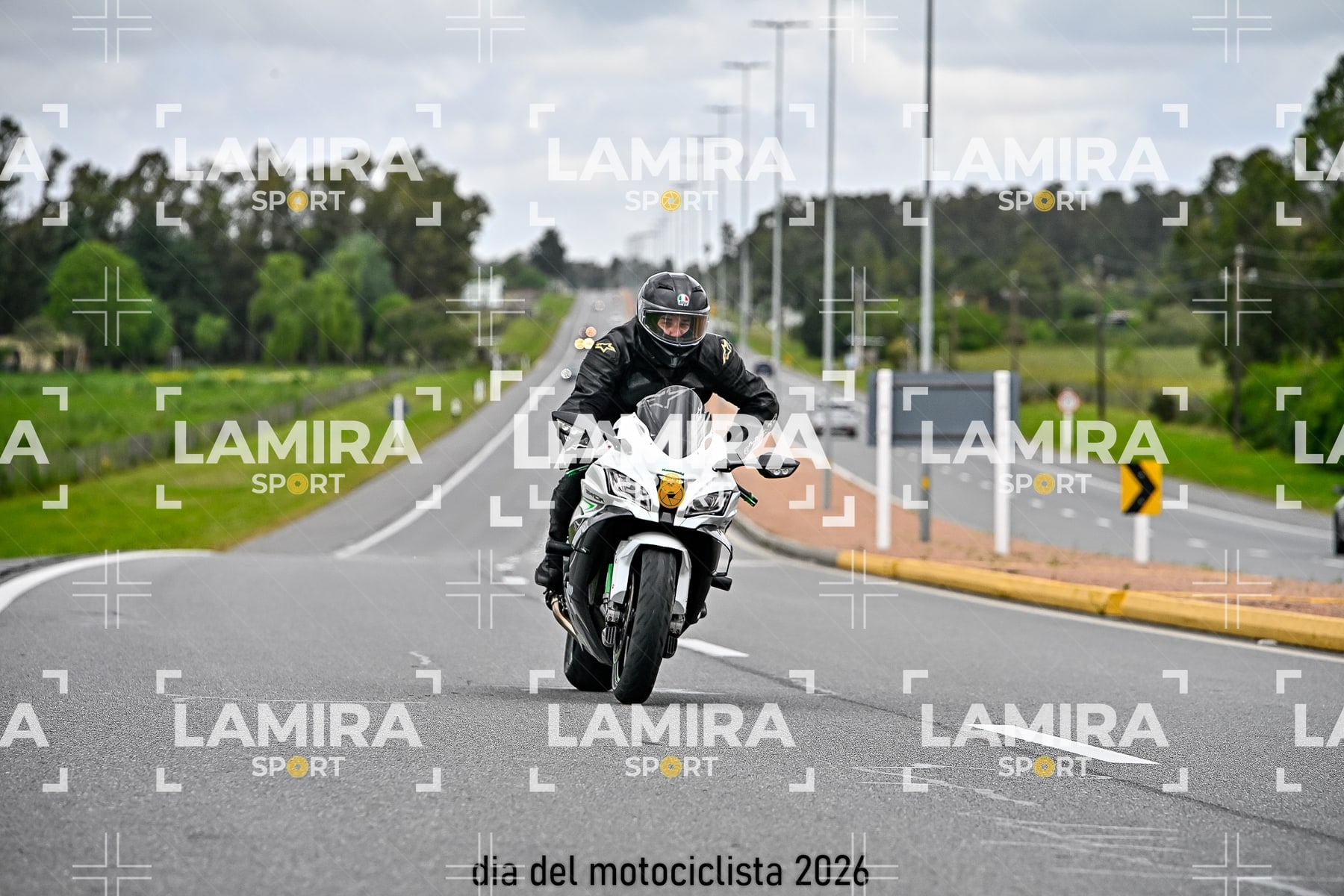 rotonda disa — BCD2853
