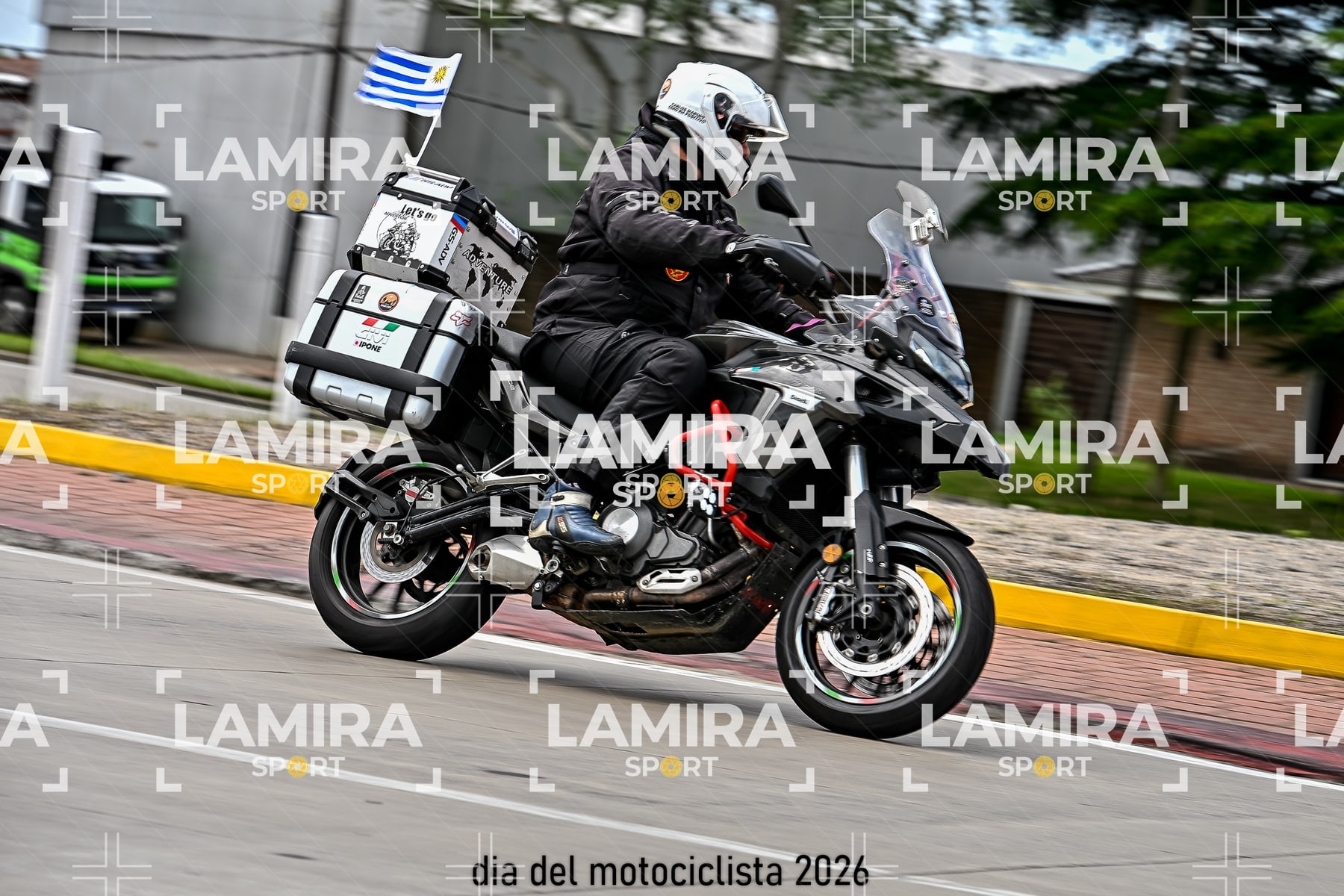 rotonda disa — BCD5261