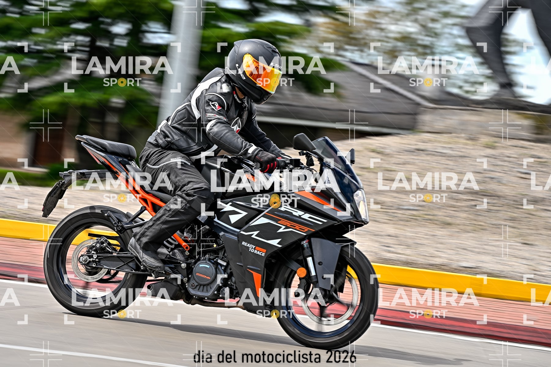 rotonda disa — BCD6612