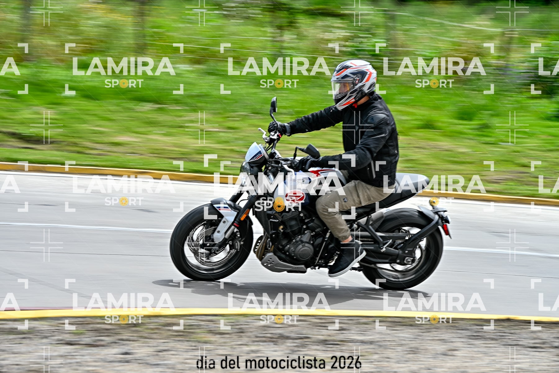 rotonda disa — BCD6296