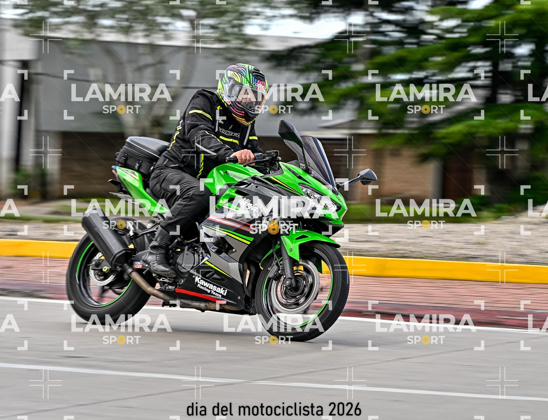 rotonda disa — BCD7110