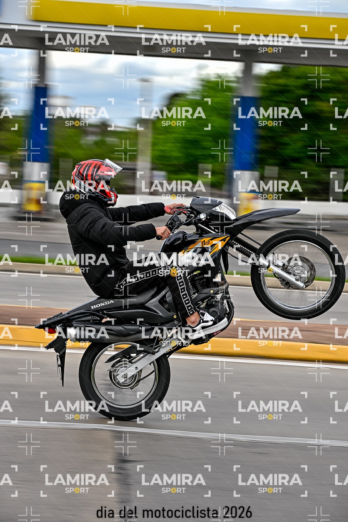 rotonda disa — BCD8605