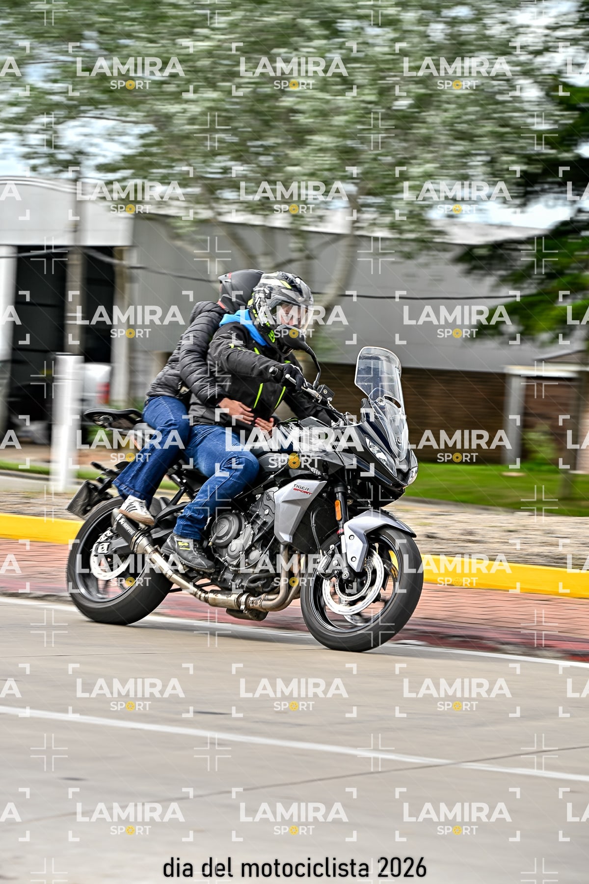 rotonda disa — BCD7547
