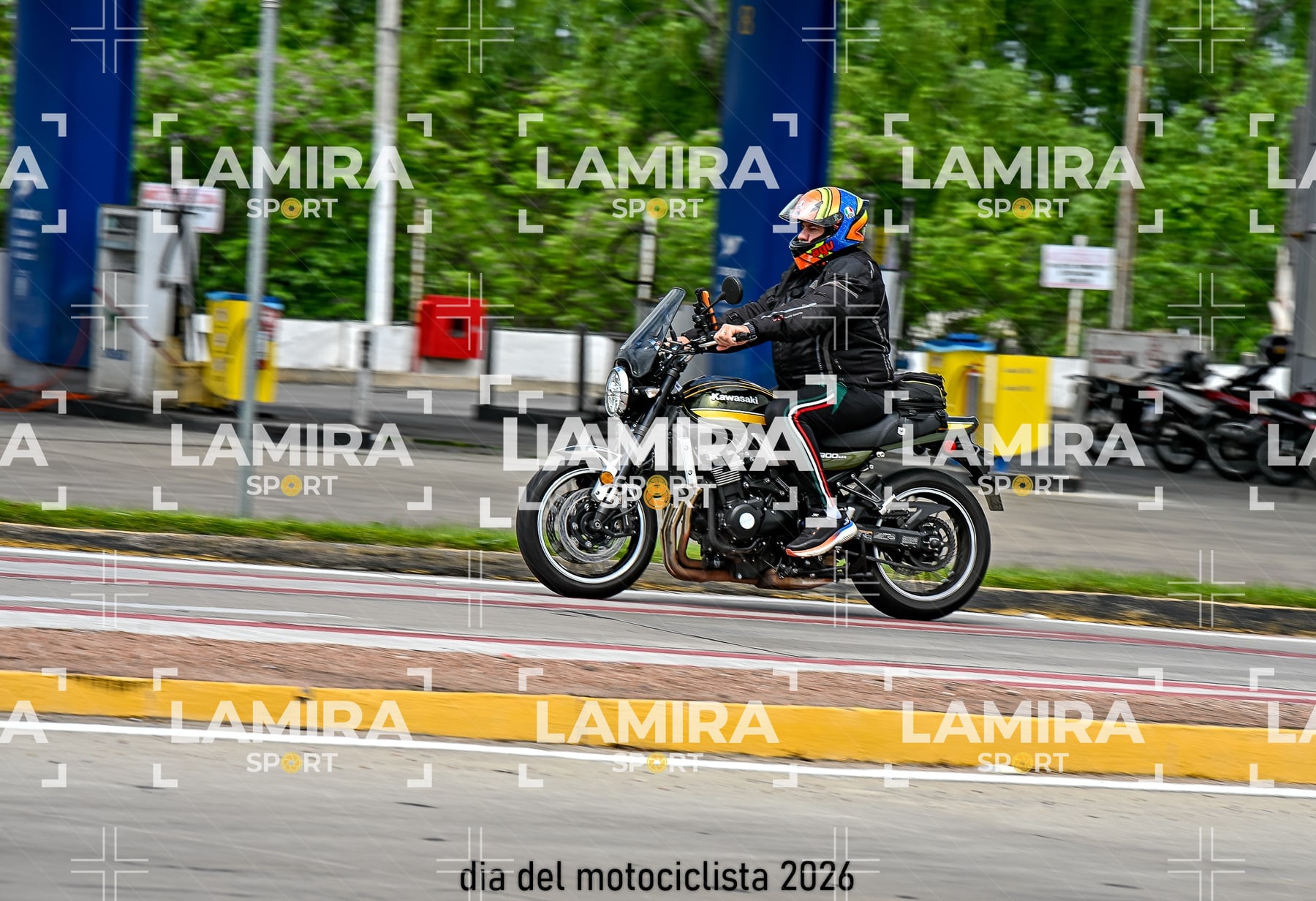 rotonda disa — BCD5834