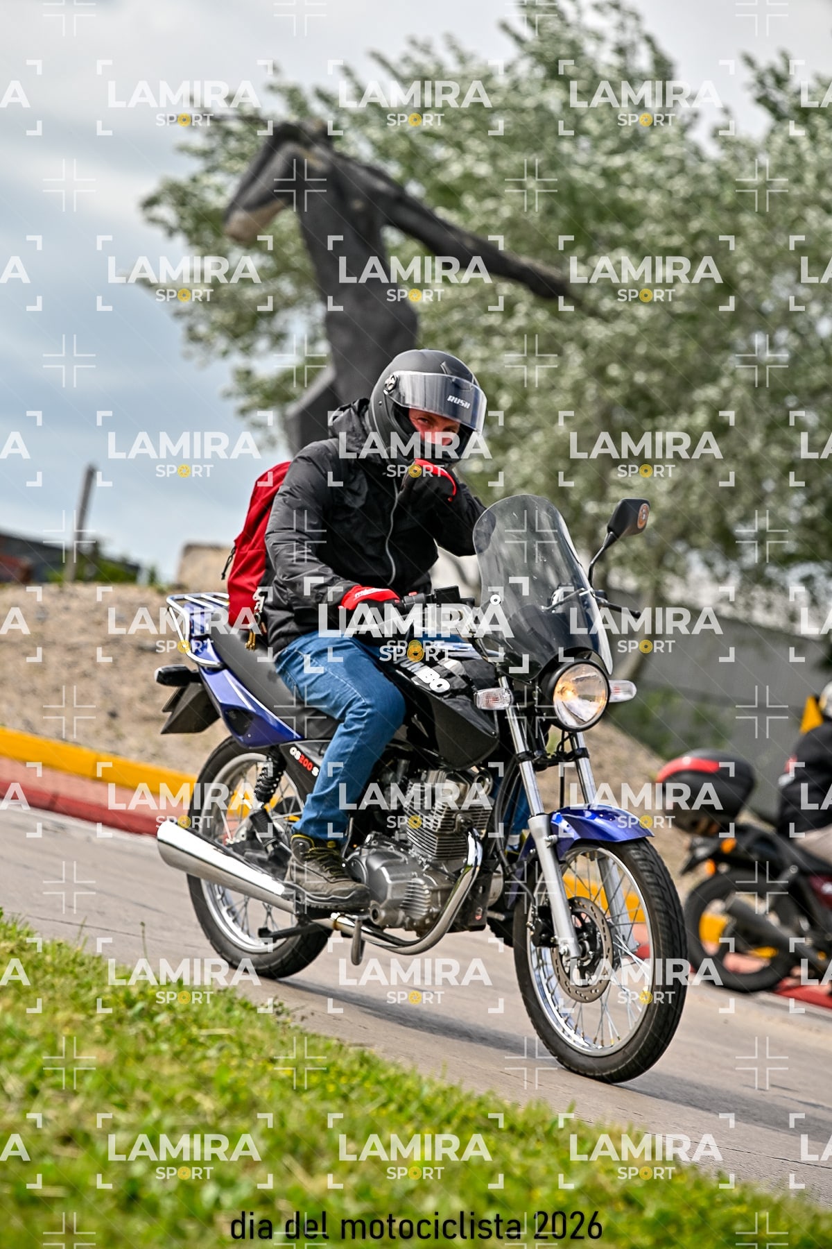 rotonda disa — BCD8006