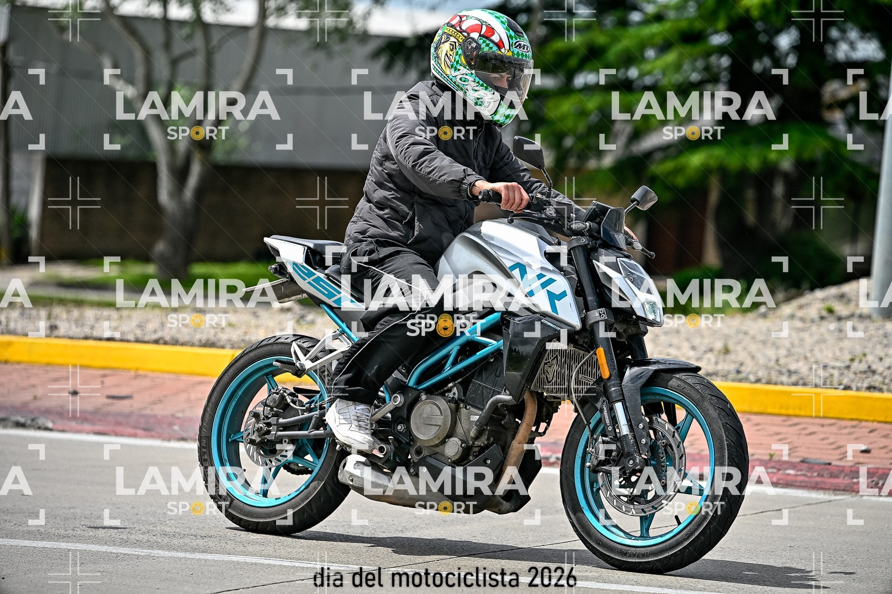 rotonda disa — BCD5709