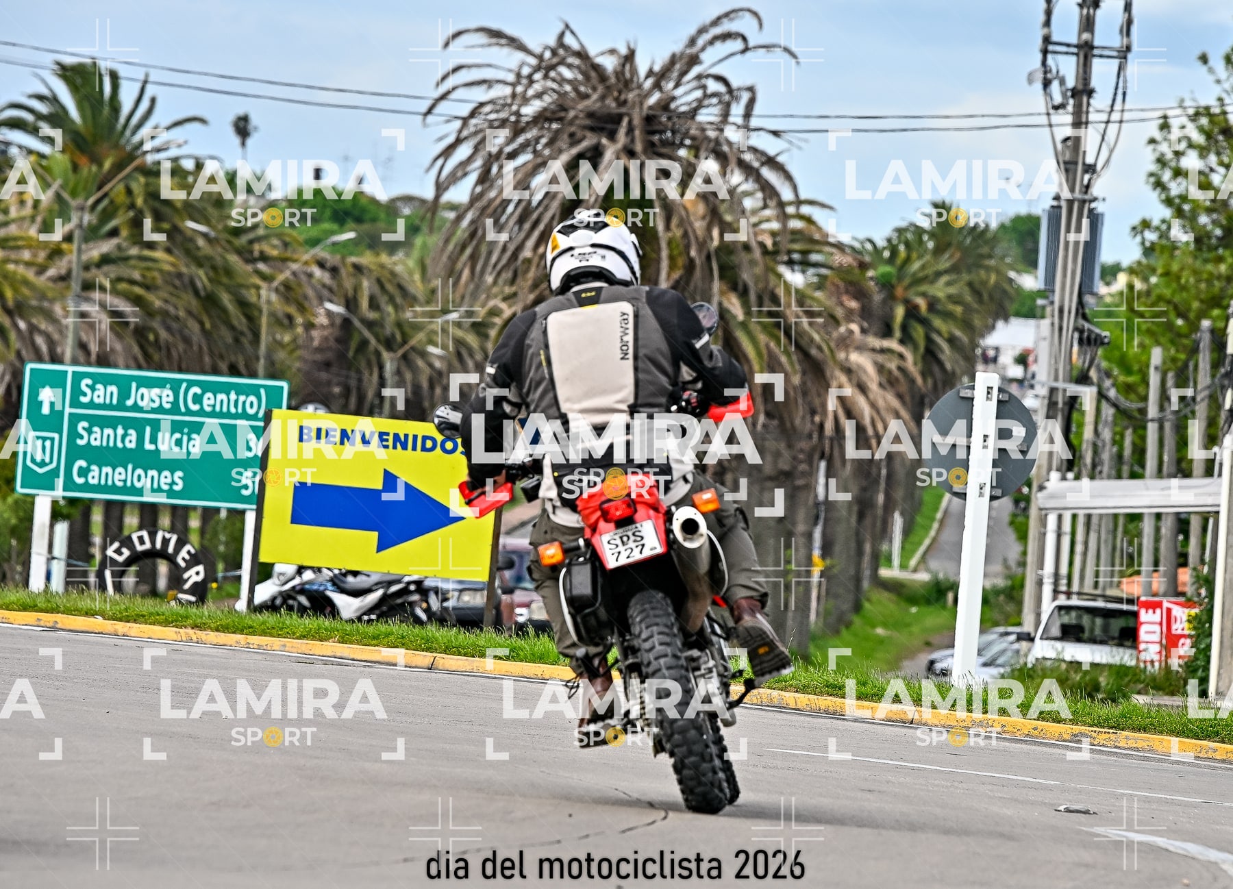 rotonda disa — BCD6417