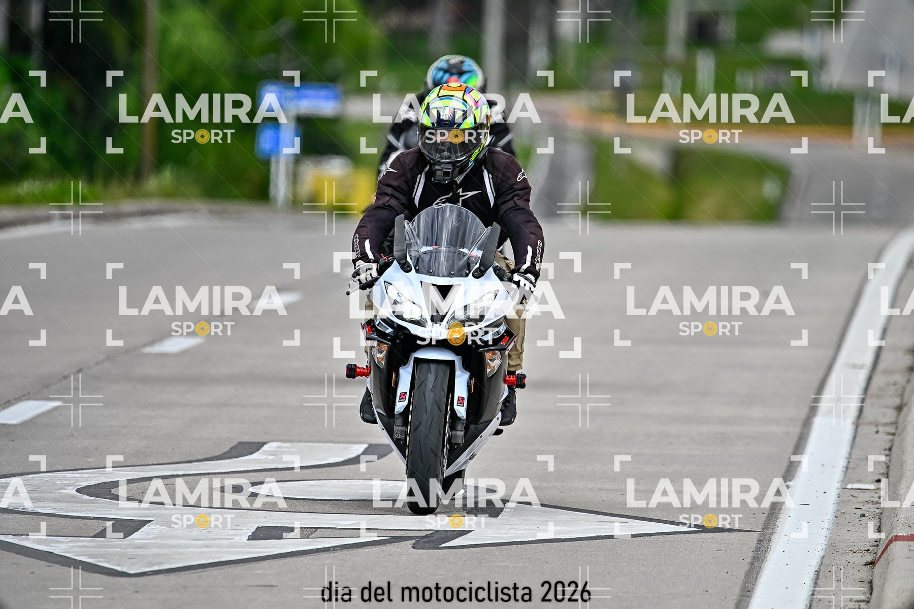 rotonda disa — BCD4914